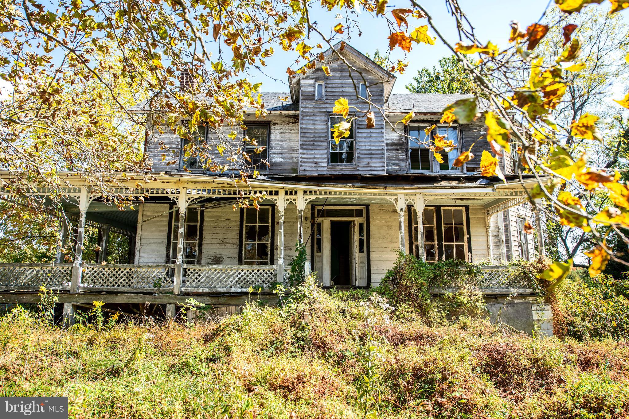 HICKORY - Farm