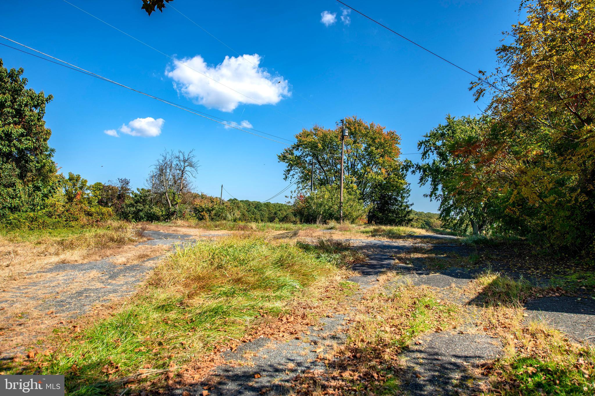 HICKORY - Farm