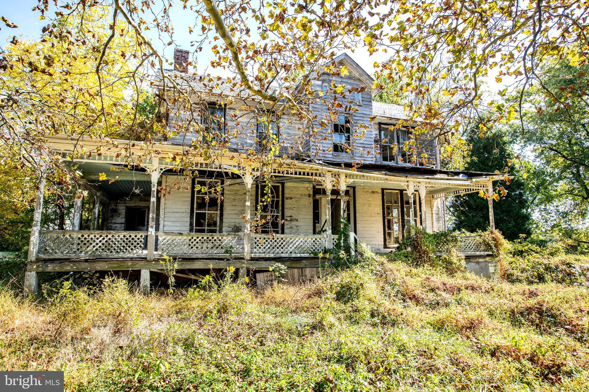 HICKORY - Farm