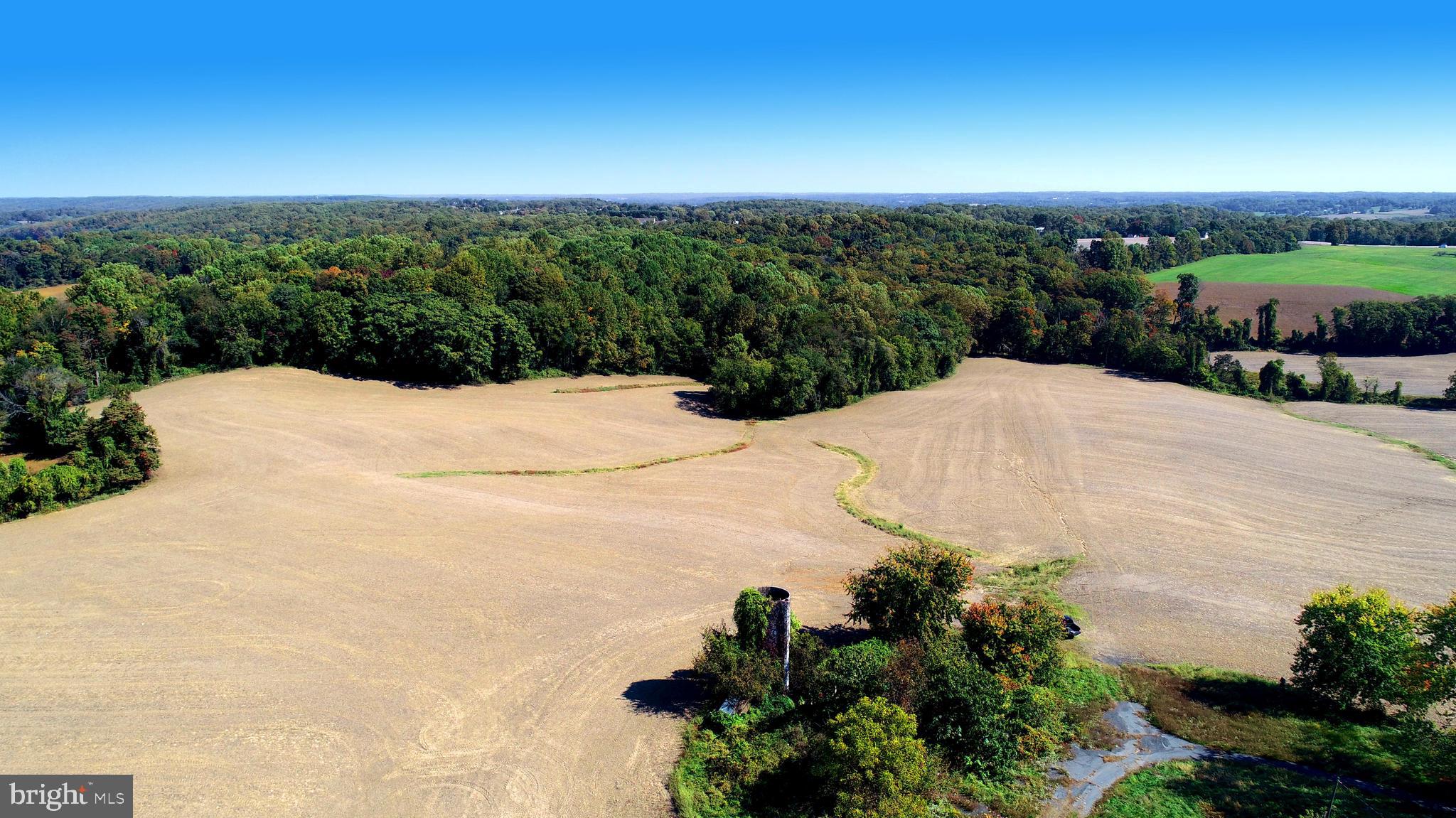HICKORY - Farm
