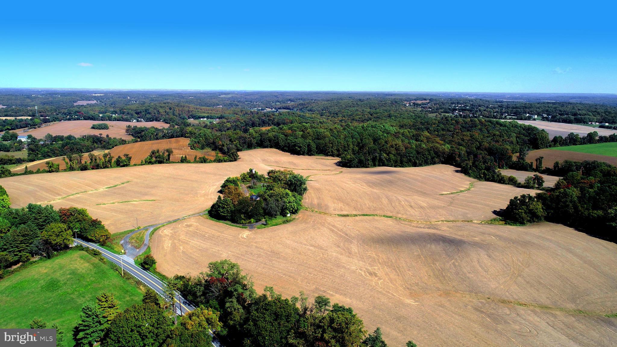 HICKORY - Farm