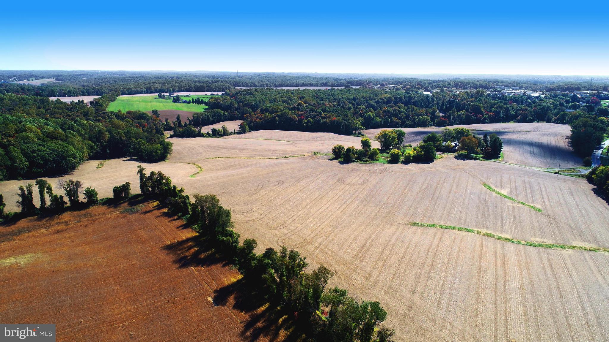 HICKORY - Farm