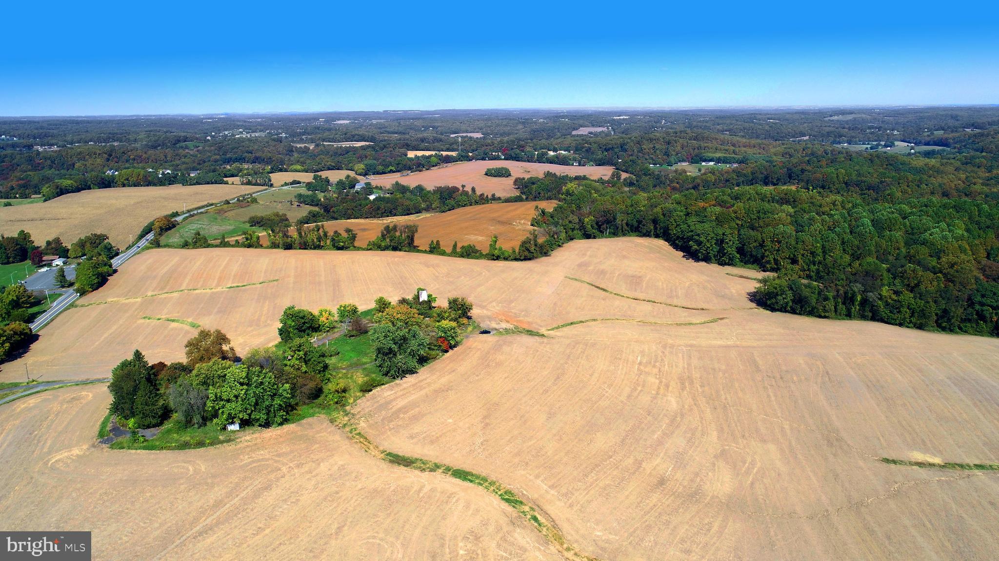 HICKORY - Farm
