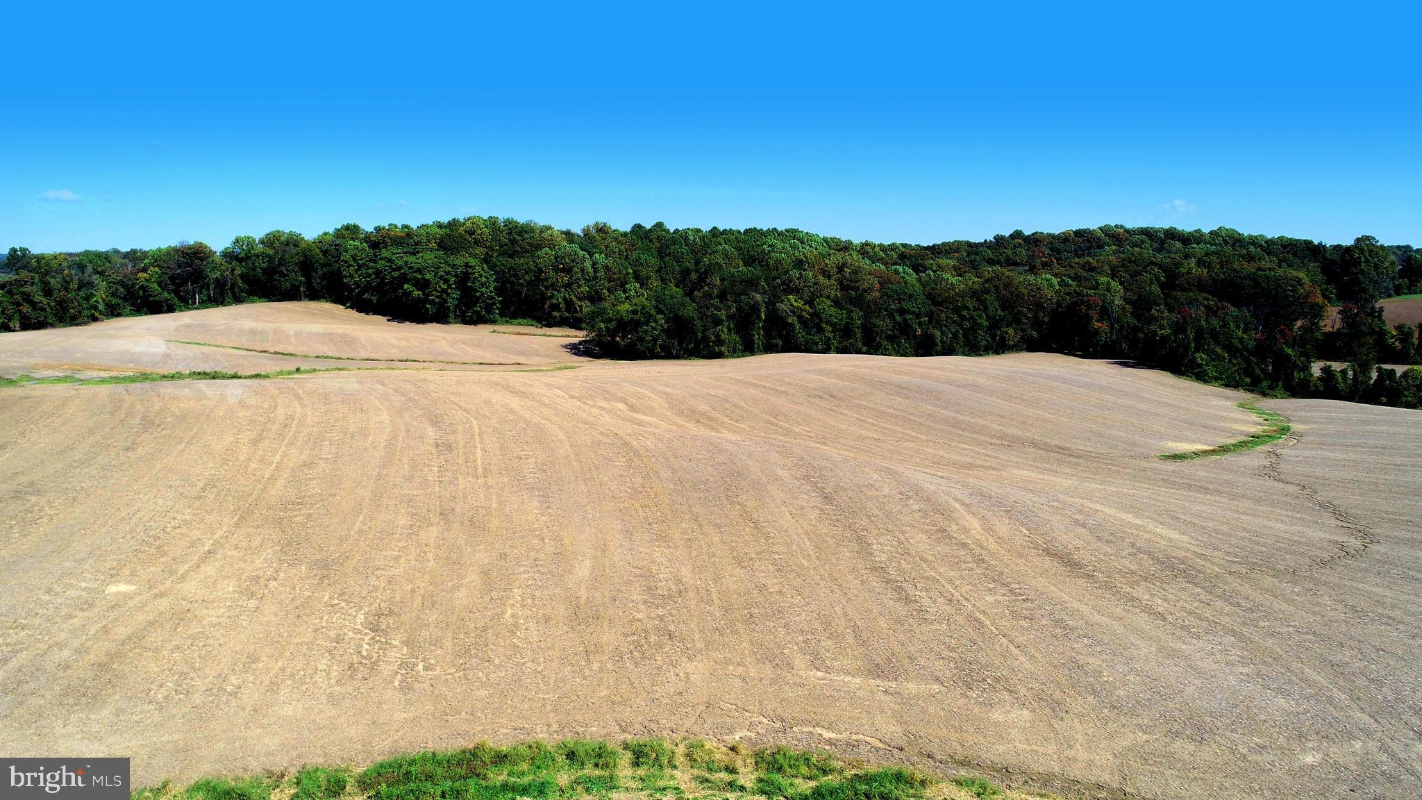 HICKORY - Farm