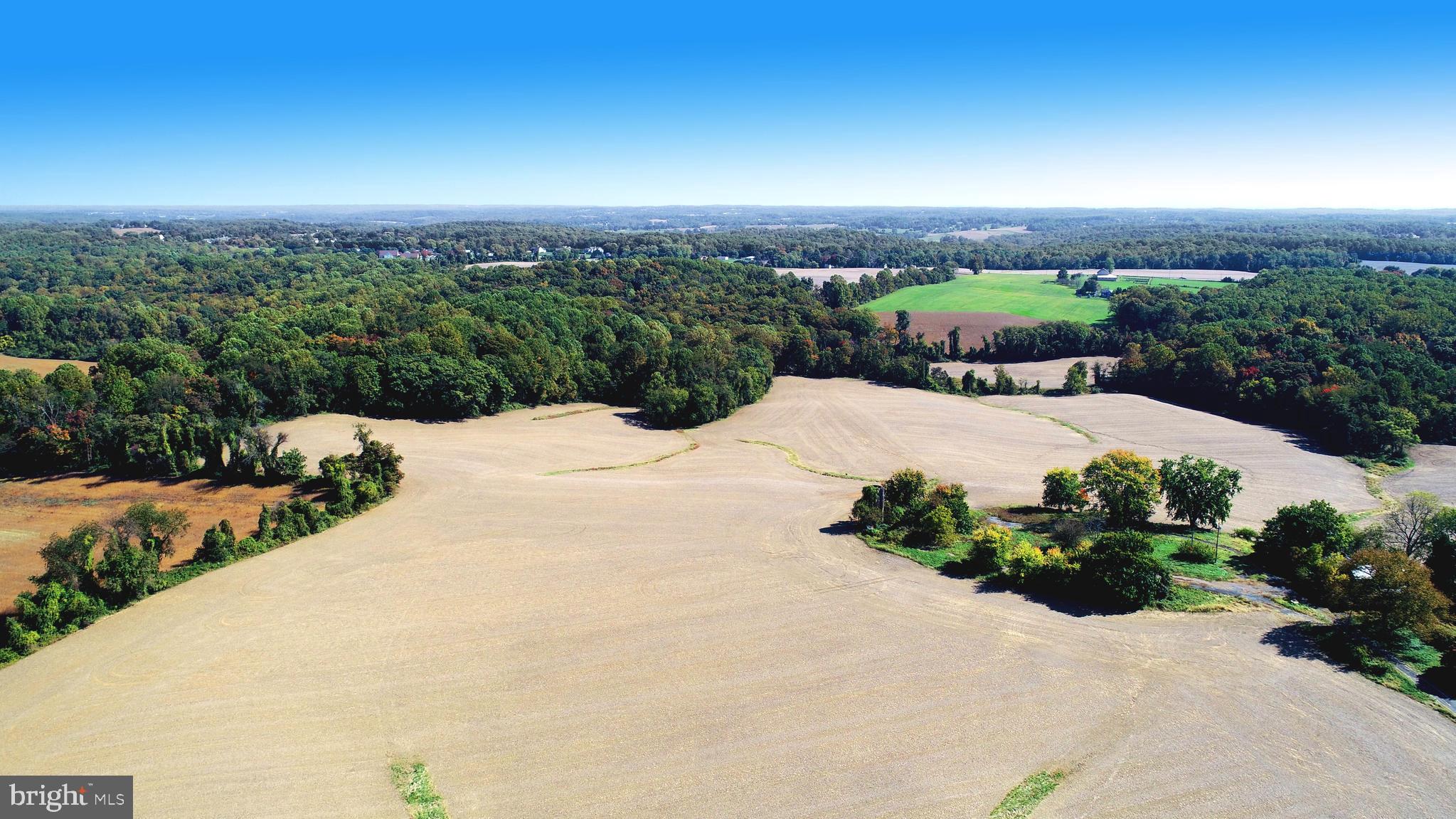 HICKORY - Farm
