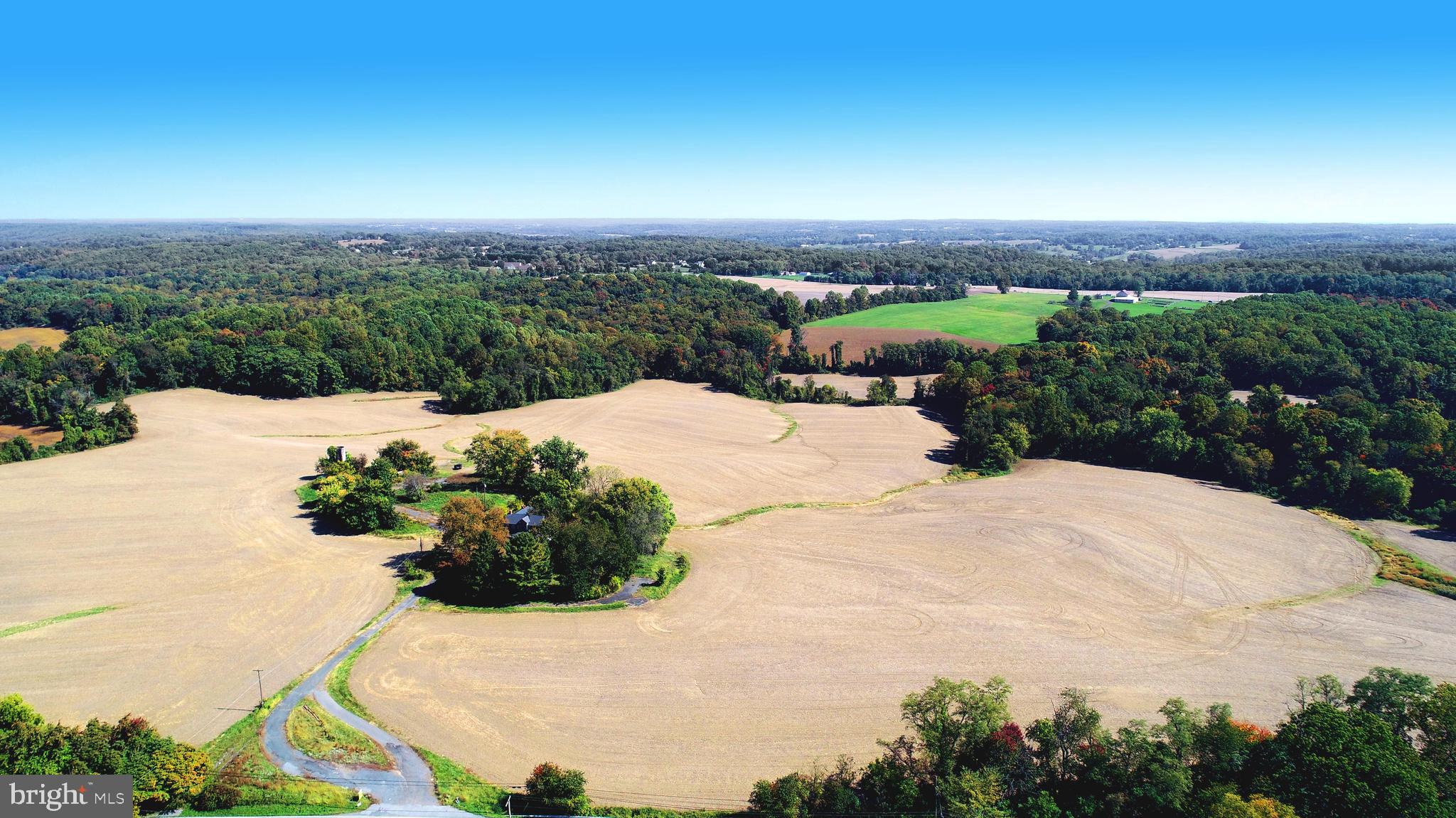 HICKORY - Farm