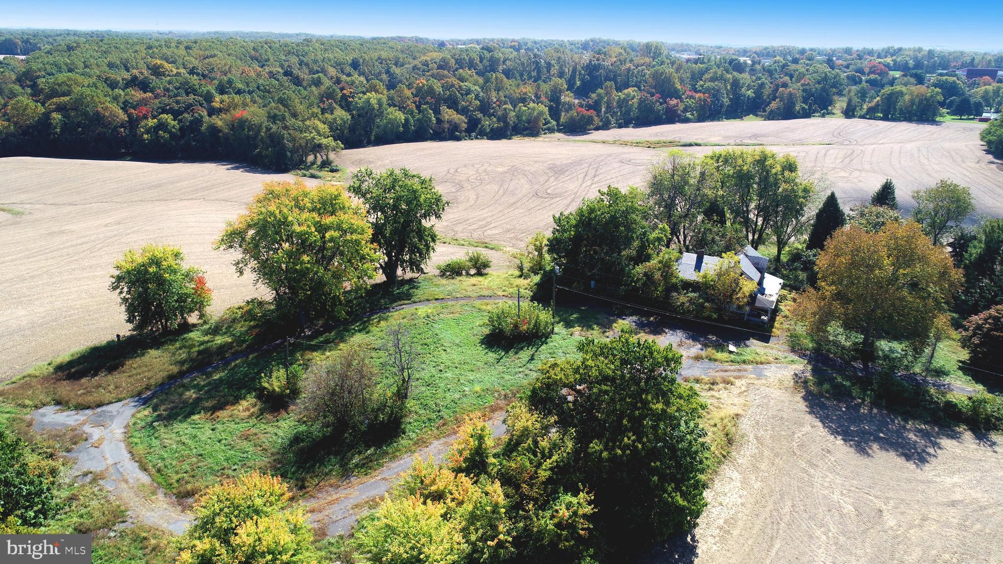 HICKORY - Farm