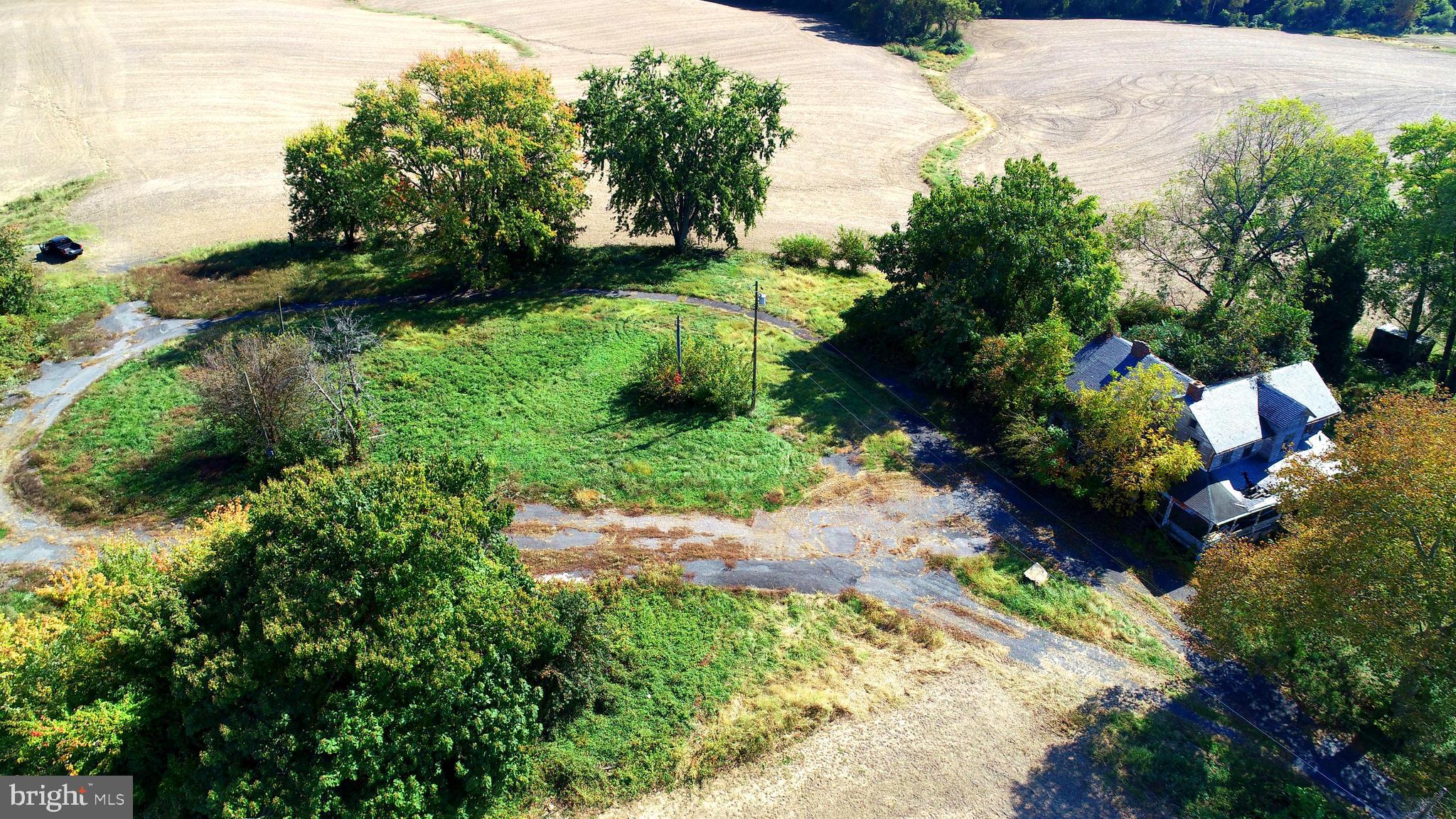 HICKORY - Farm