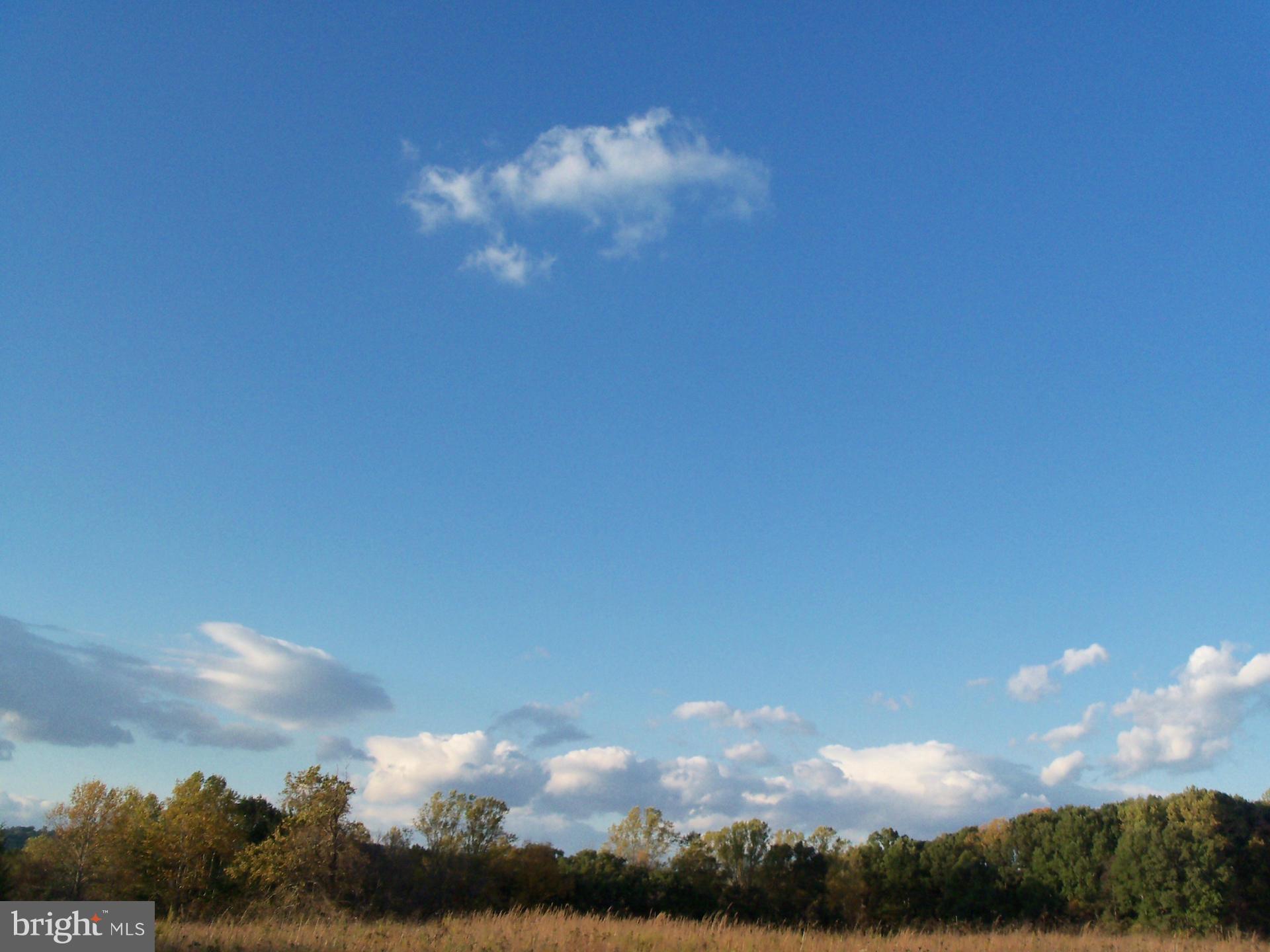 BUFFALO RIDGE - Land