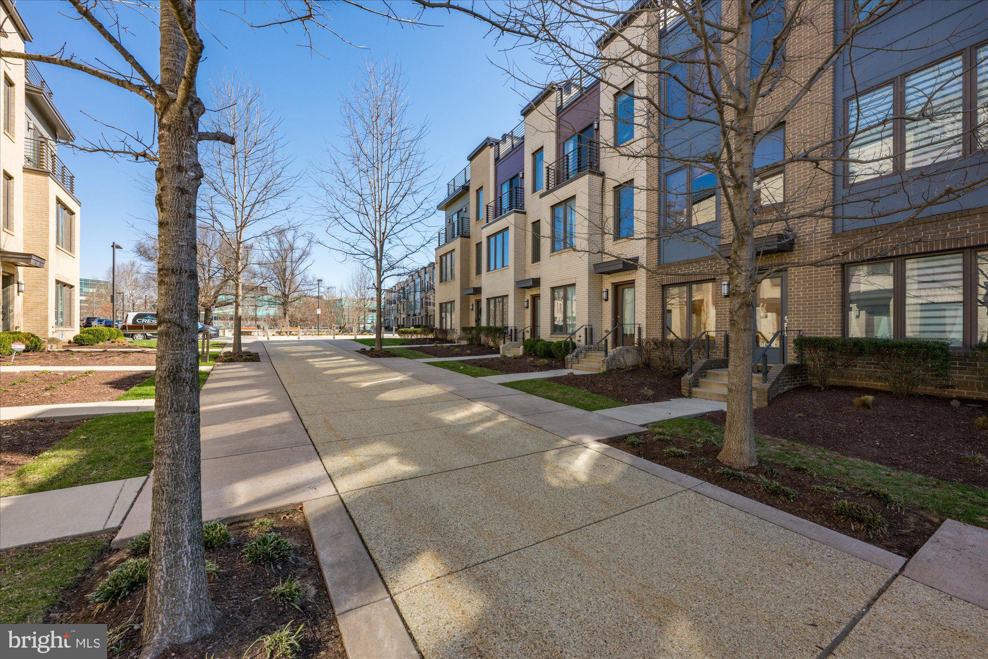 MONTGOMERY ROW - Residential