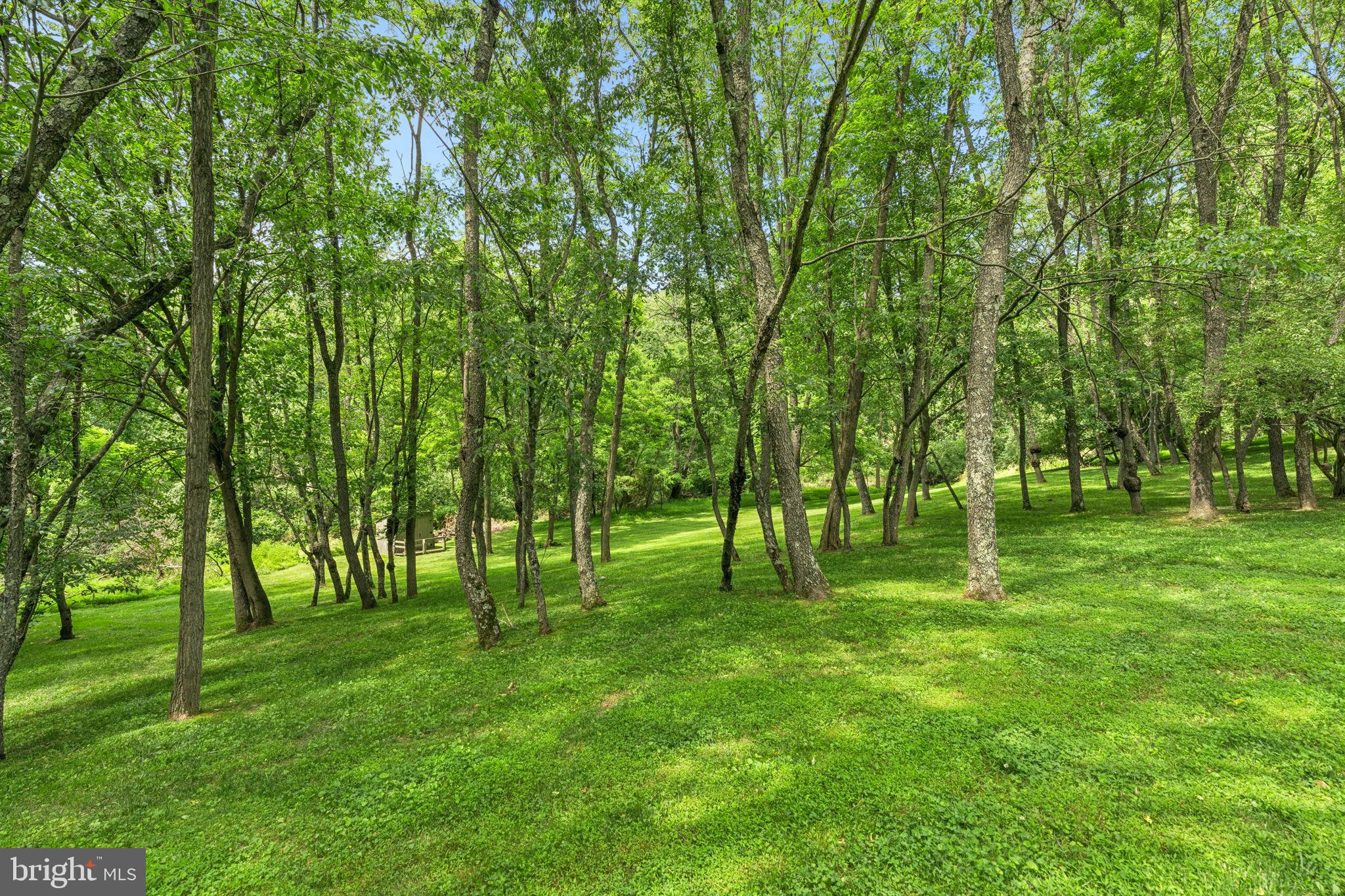 CAMERON MILL - Residential