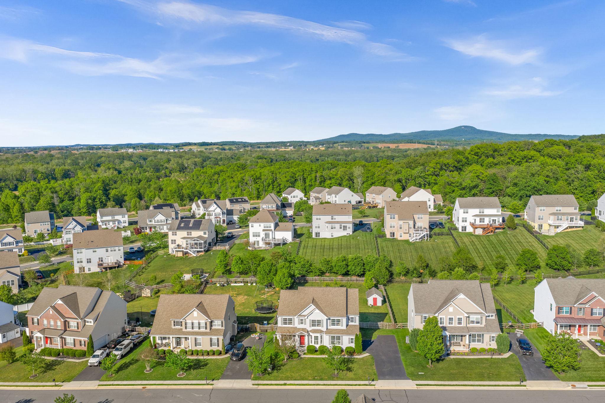 ELYSIAN HEIGHTS - Residential