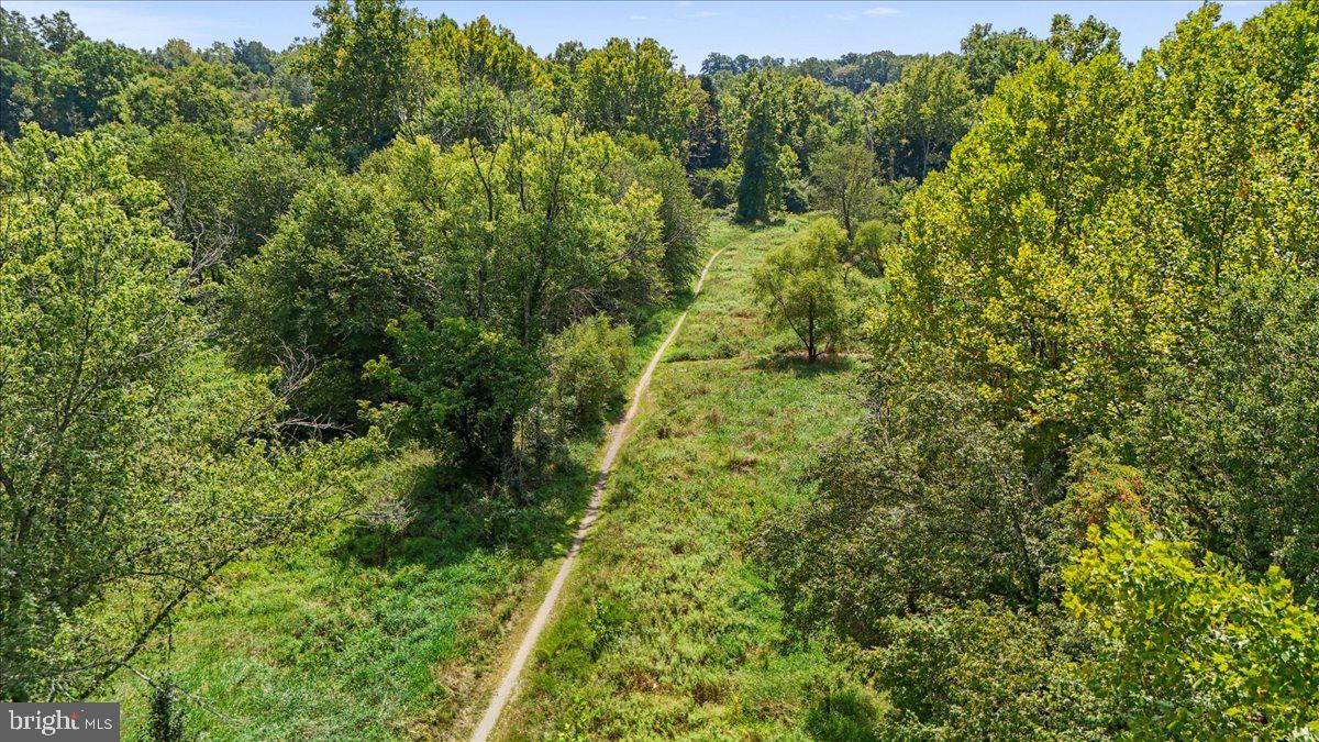 BROWNS MILL FOREST - Residential