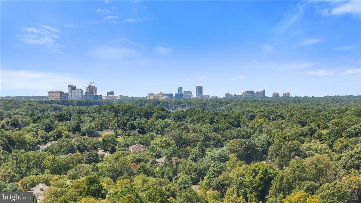 BROWNS MILL FOREST - Residential