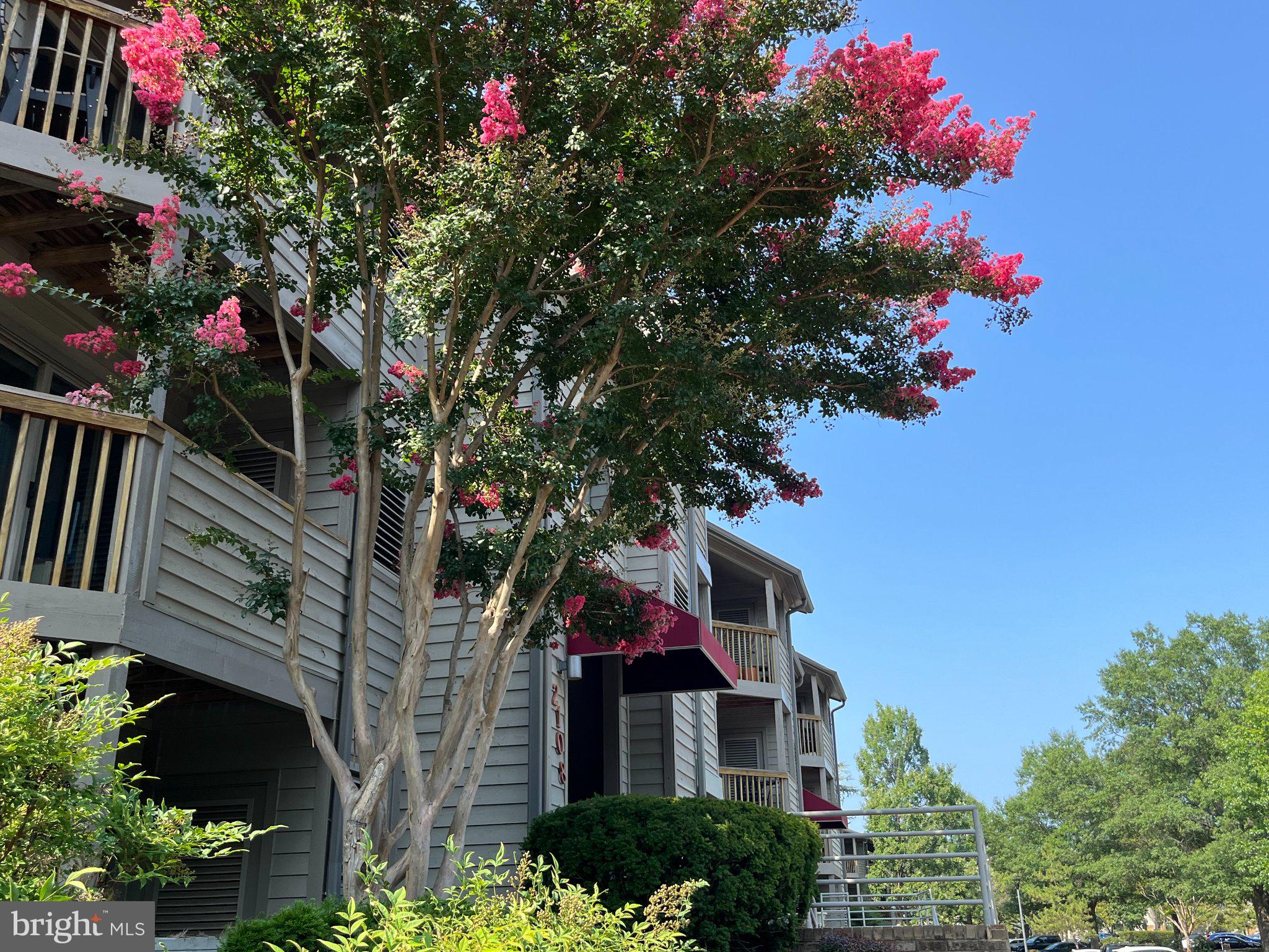 CHESAPEAKE HARBOUR - Residential