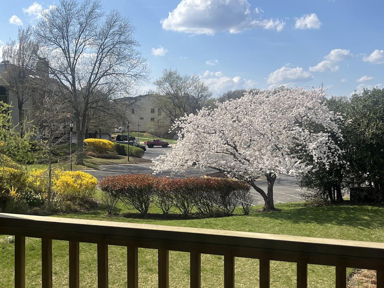 CHESAPEAKE HARBOUR - Residential
