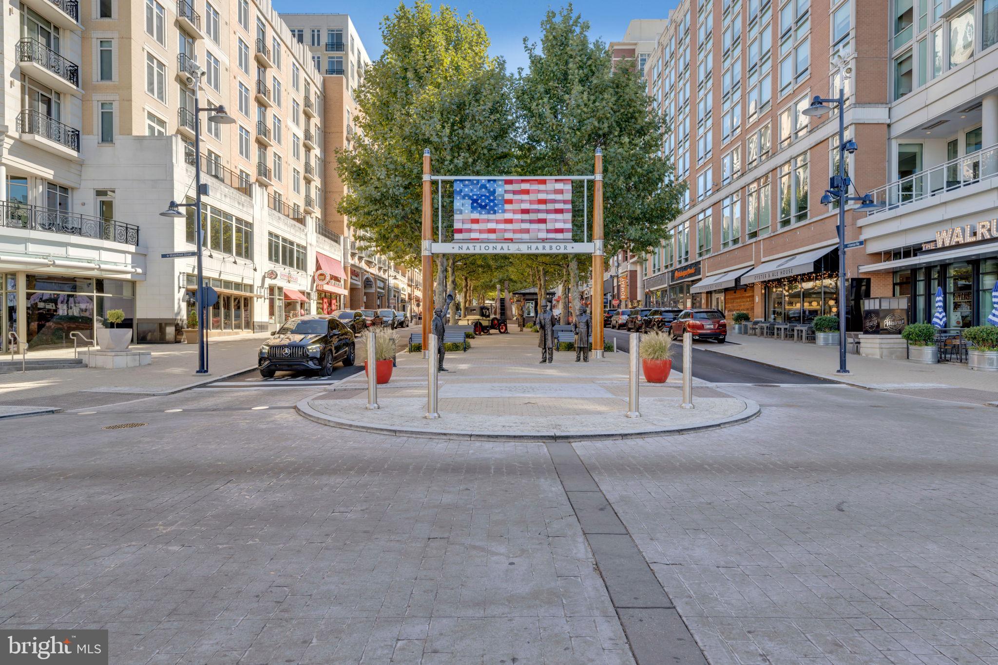 THE FLATS AT NATIONAL HARBOR - Residential