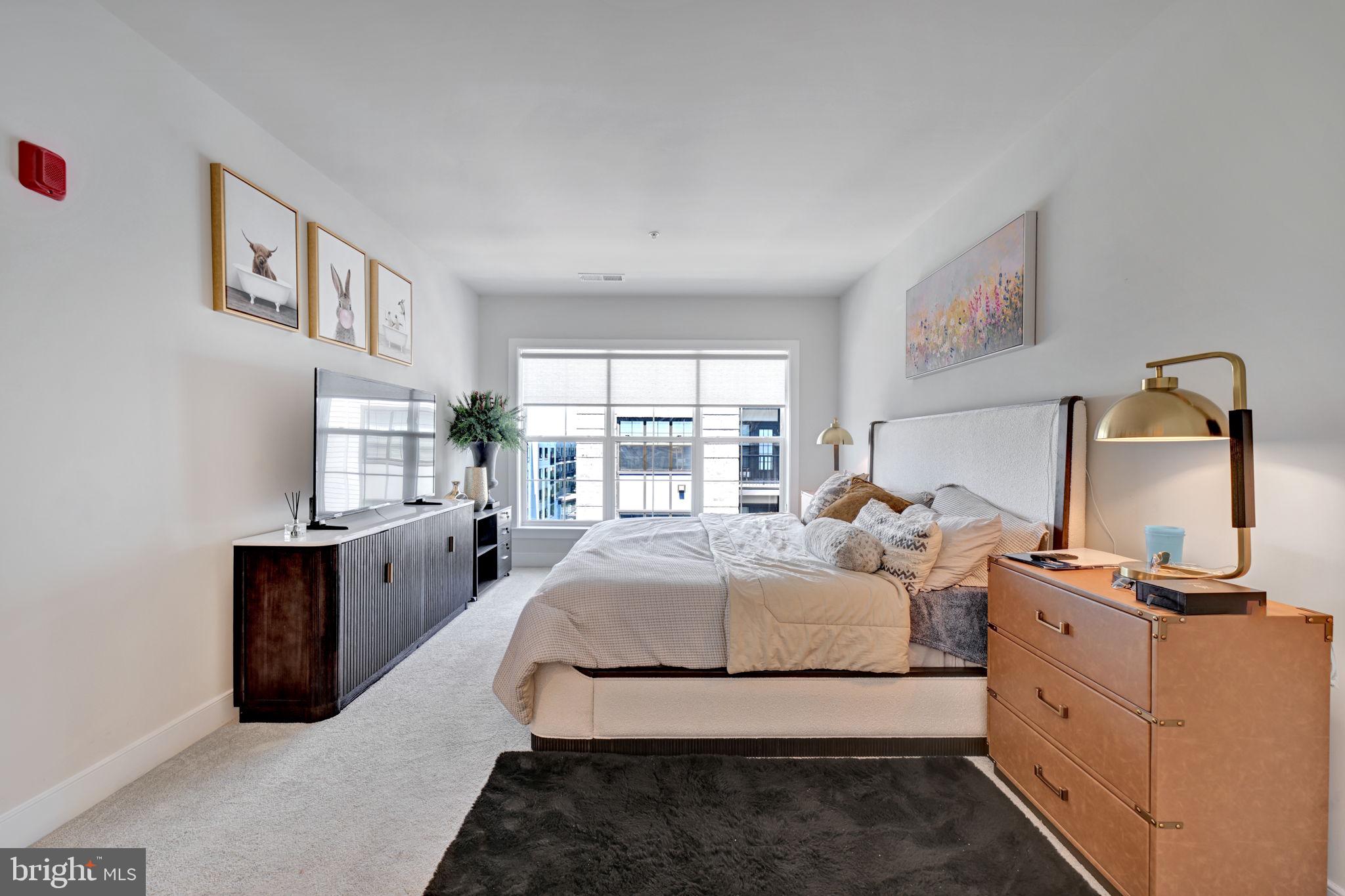THE FLATS AT NATIONAL HARBOR - Residential