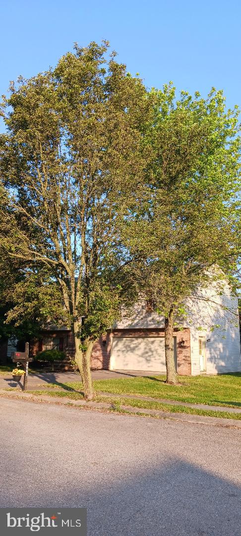 FOX MEADOWS - Residential