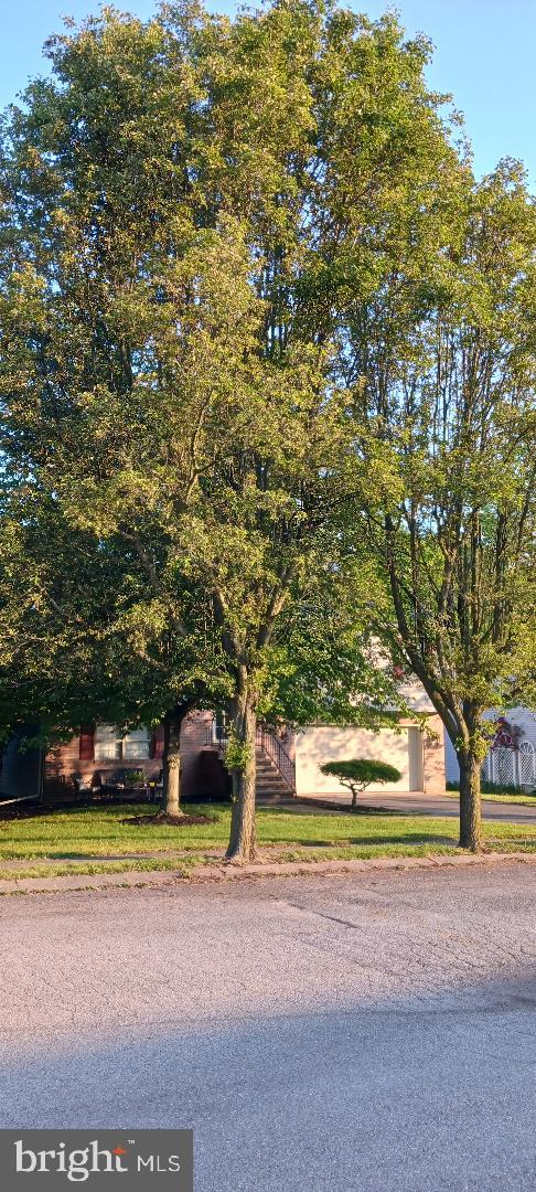 FOX MEADOWS - Residential