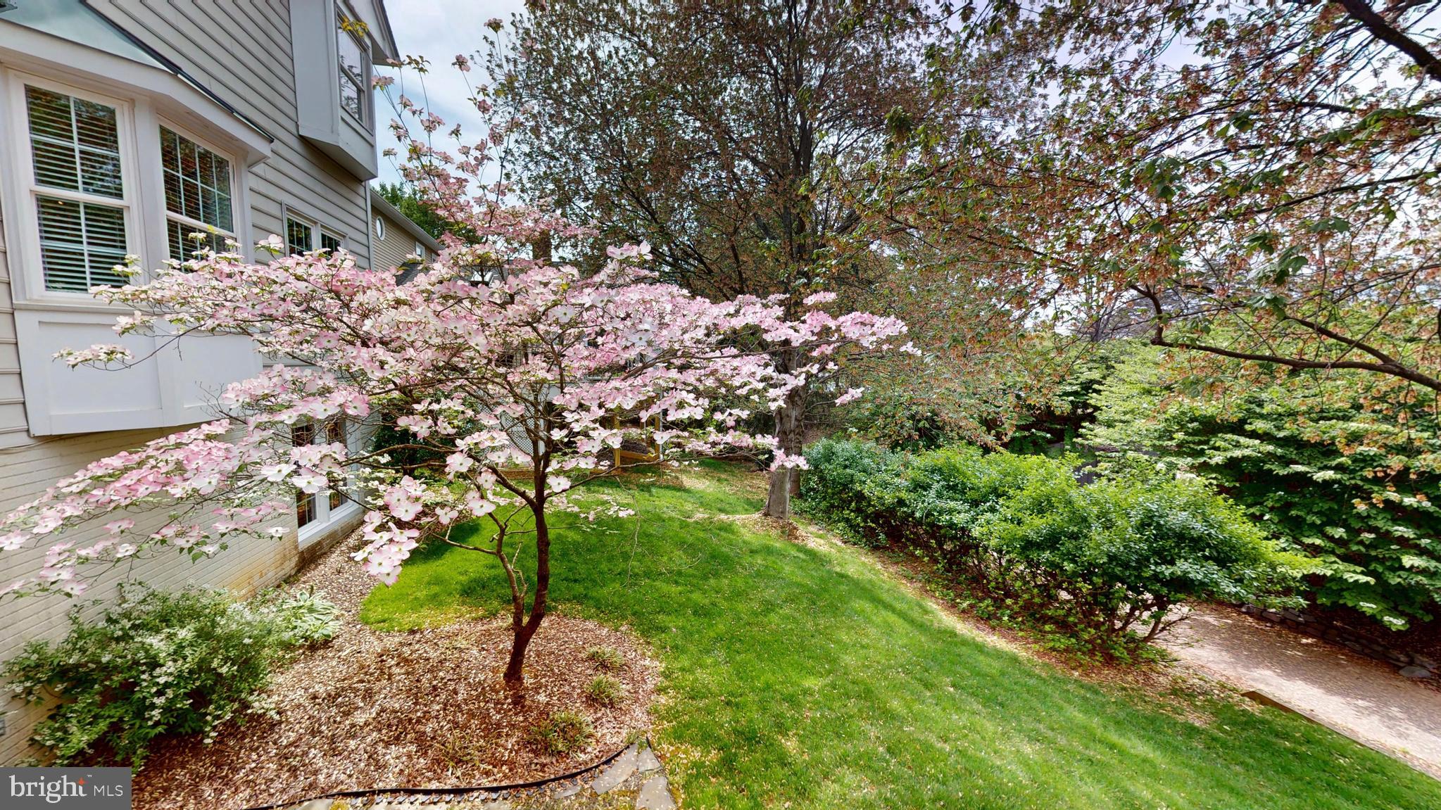 LOWES ISLAND - Residential