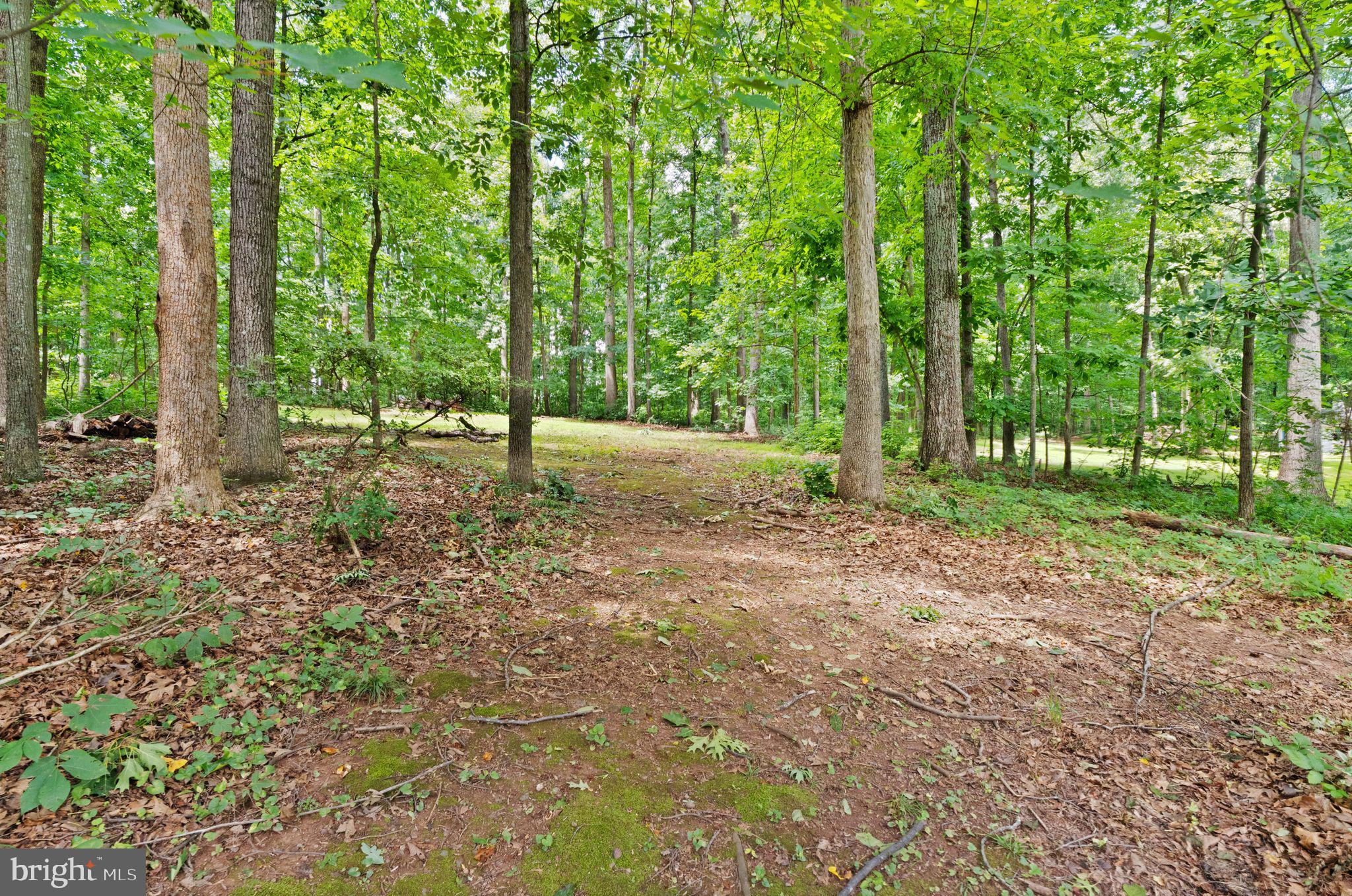 LYNN FOREST - Residential