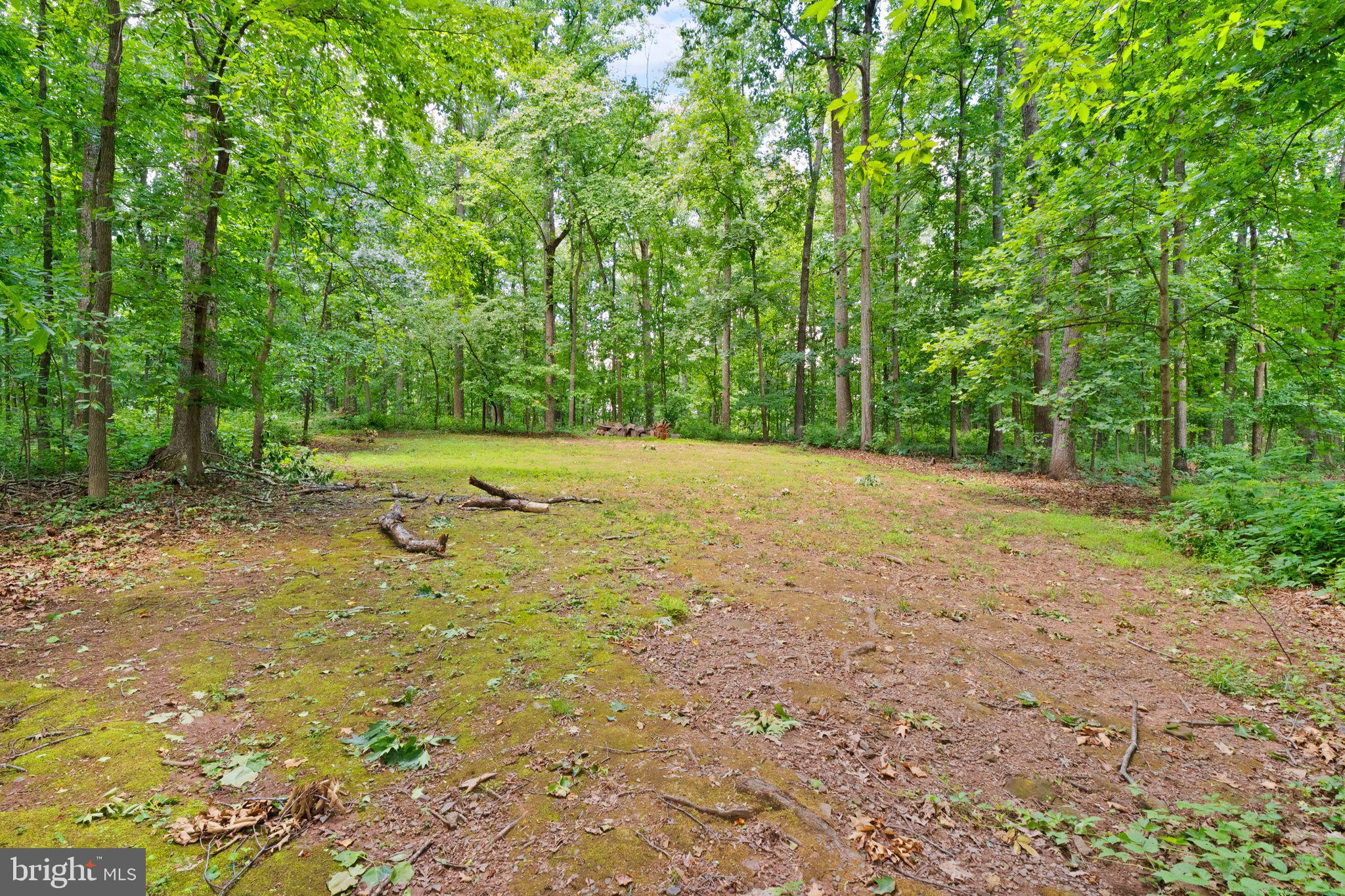 LYNN FOREST - Residential