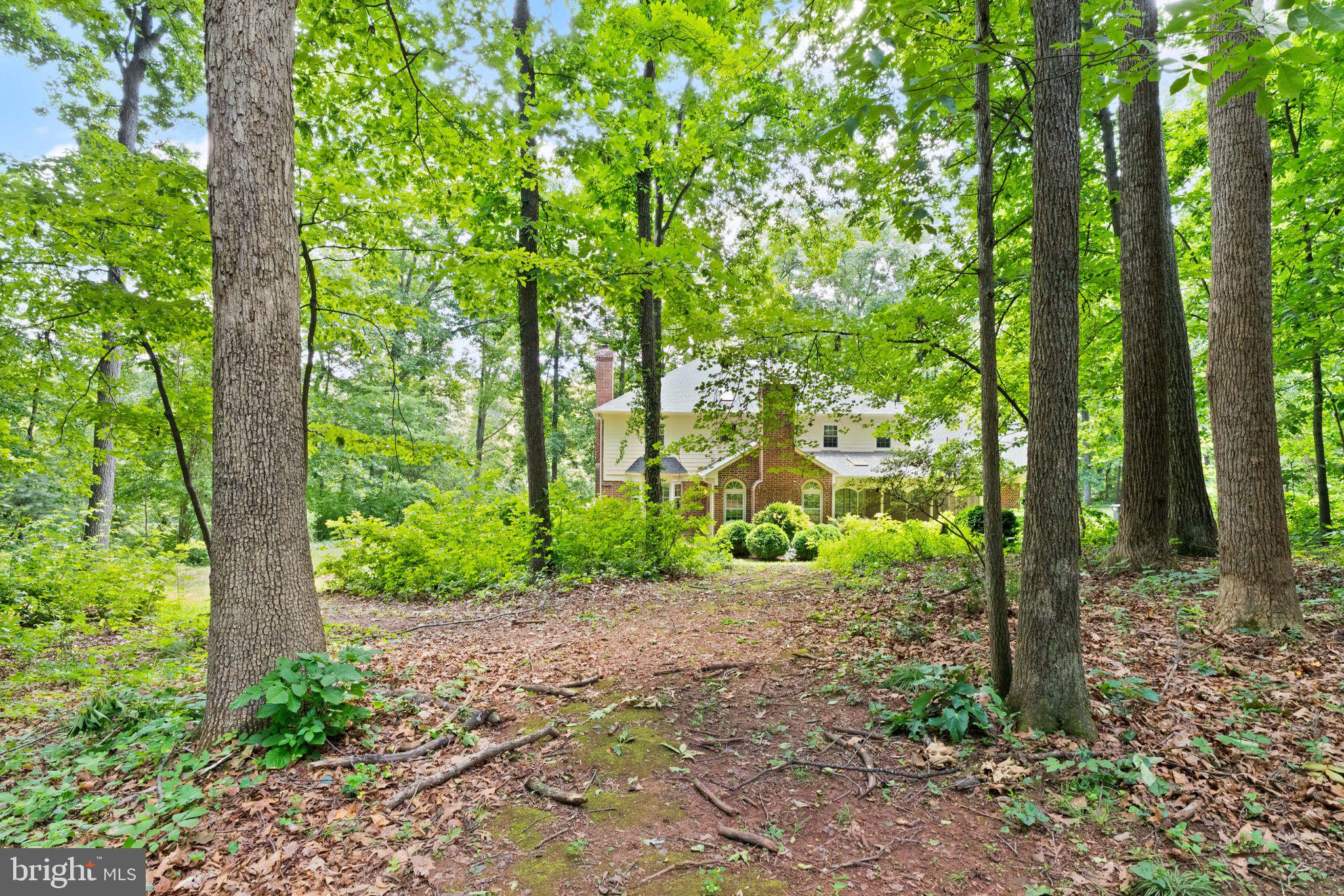 LYNN FOREST - Residential