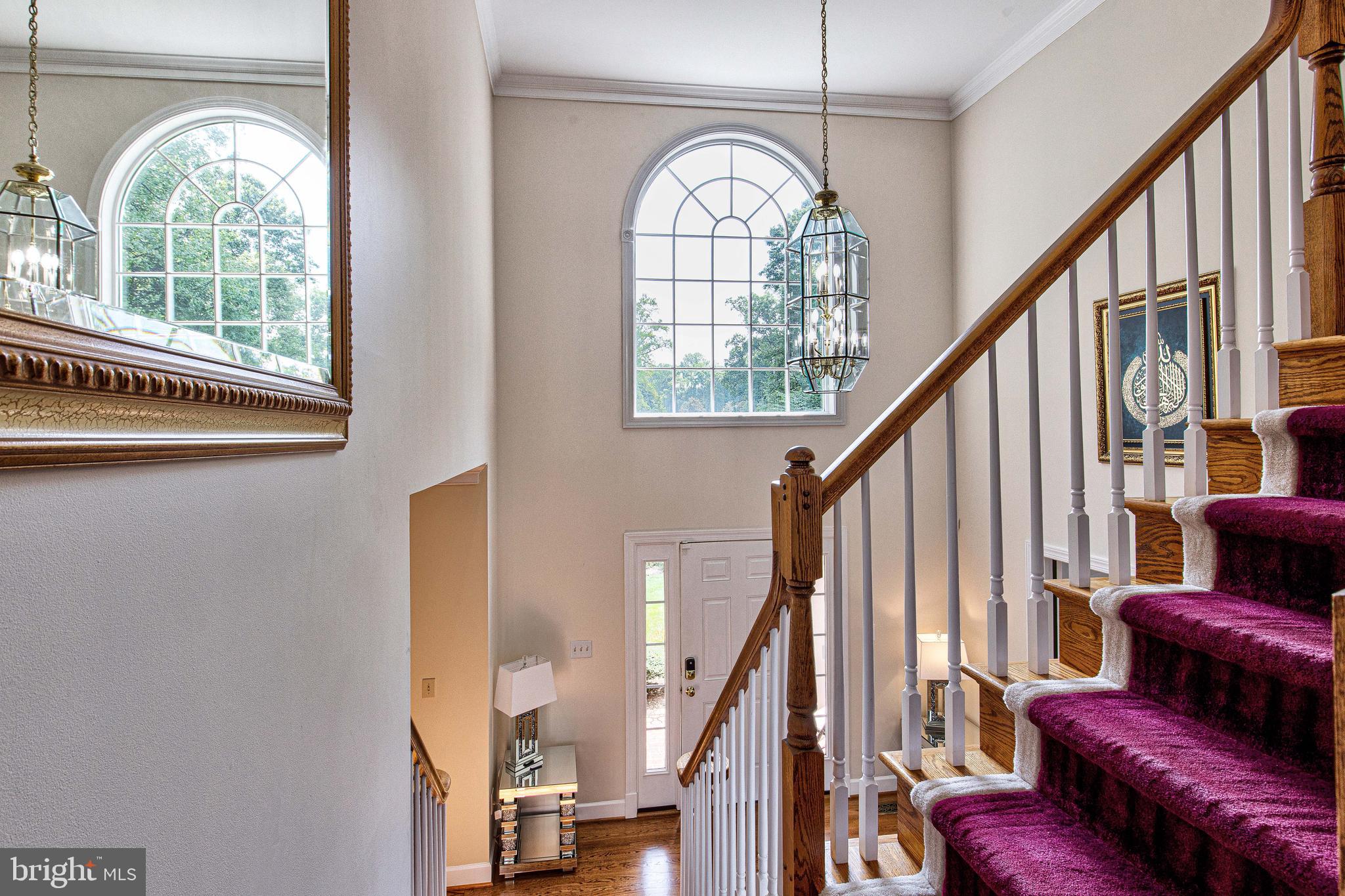 CANNON FOREST - Residential