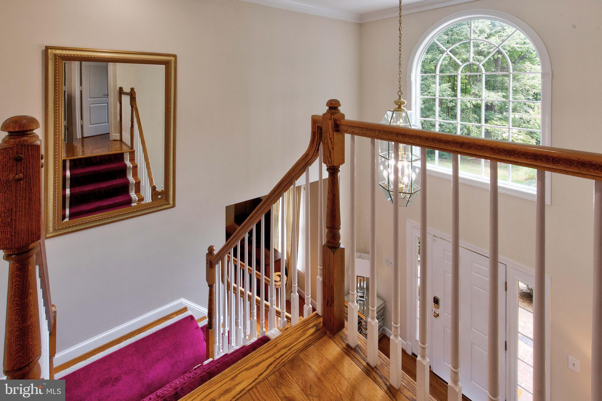 CANNON FOREST - Residential