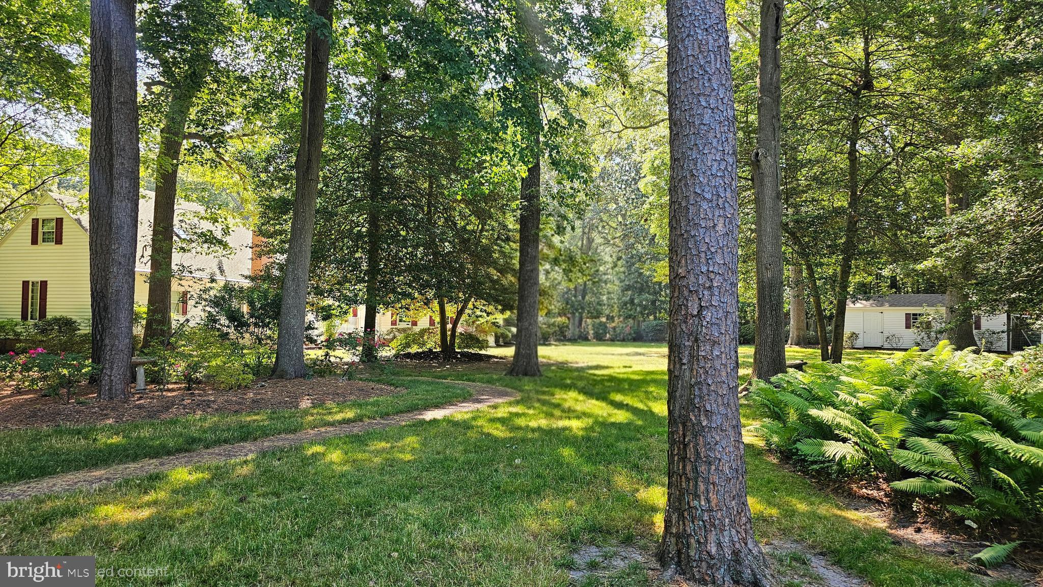 TONY TANK - Residential