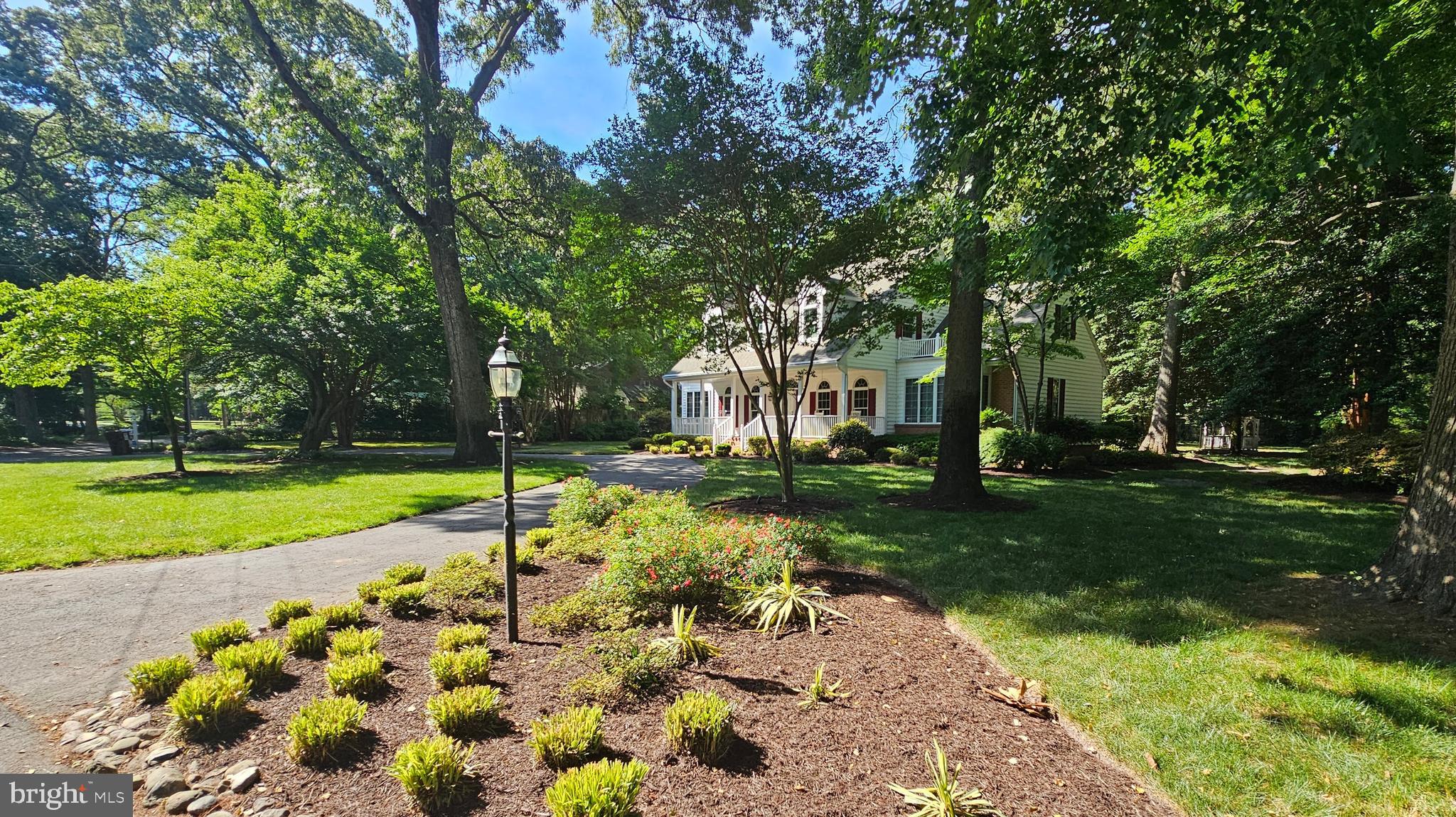 TONY TANK - Residential
