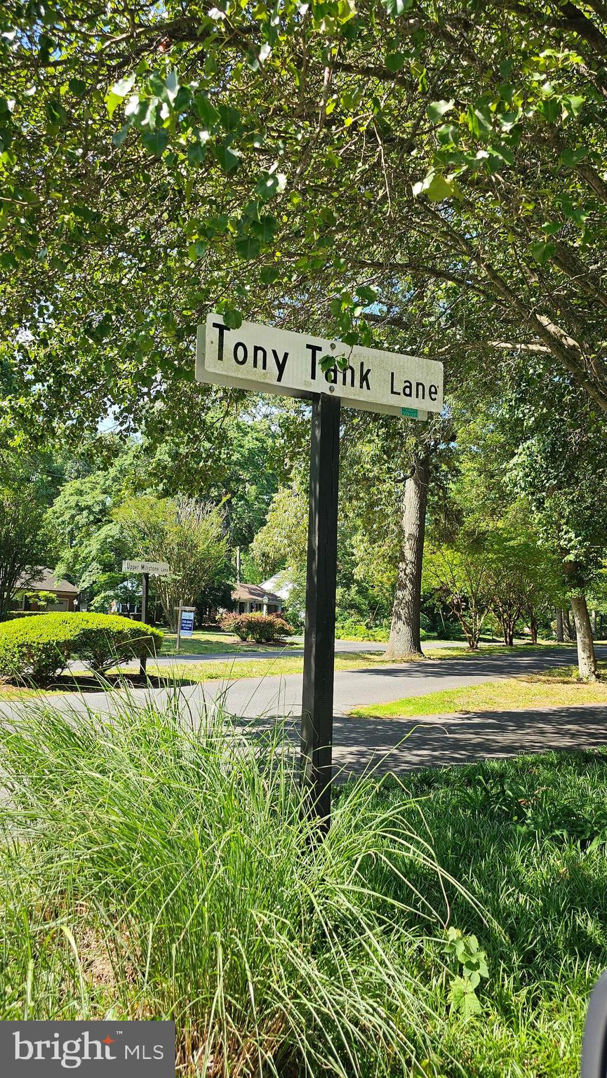 TONY TANK - Residential