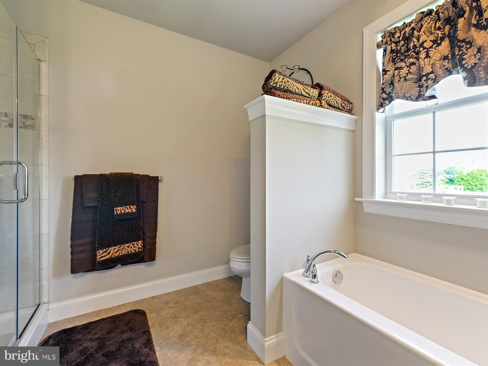 STEELE RIDGE - Residential