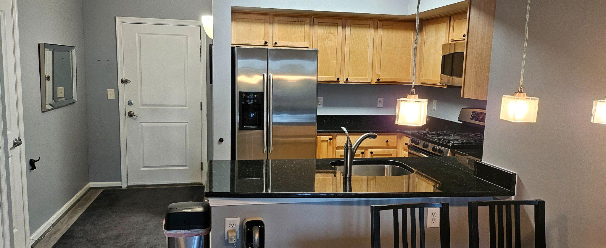 SILVER SPRING METRO - Residential