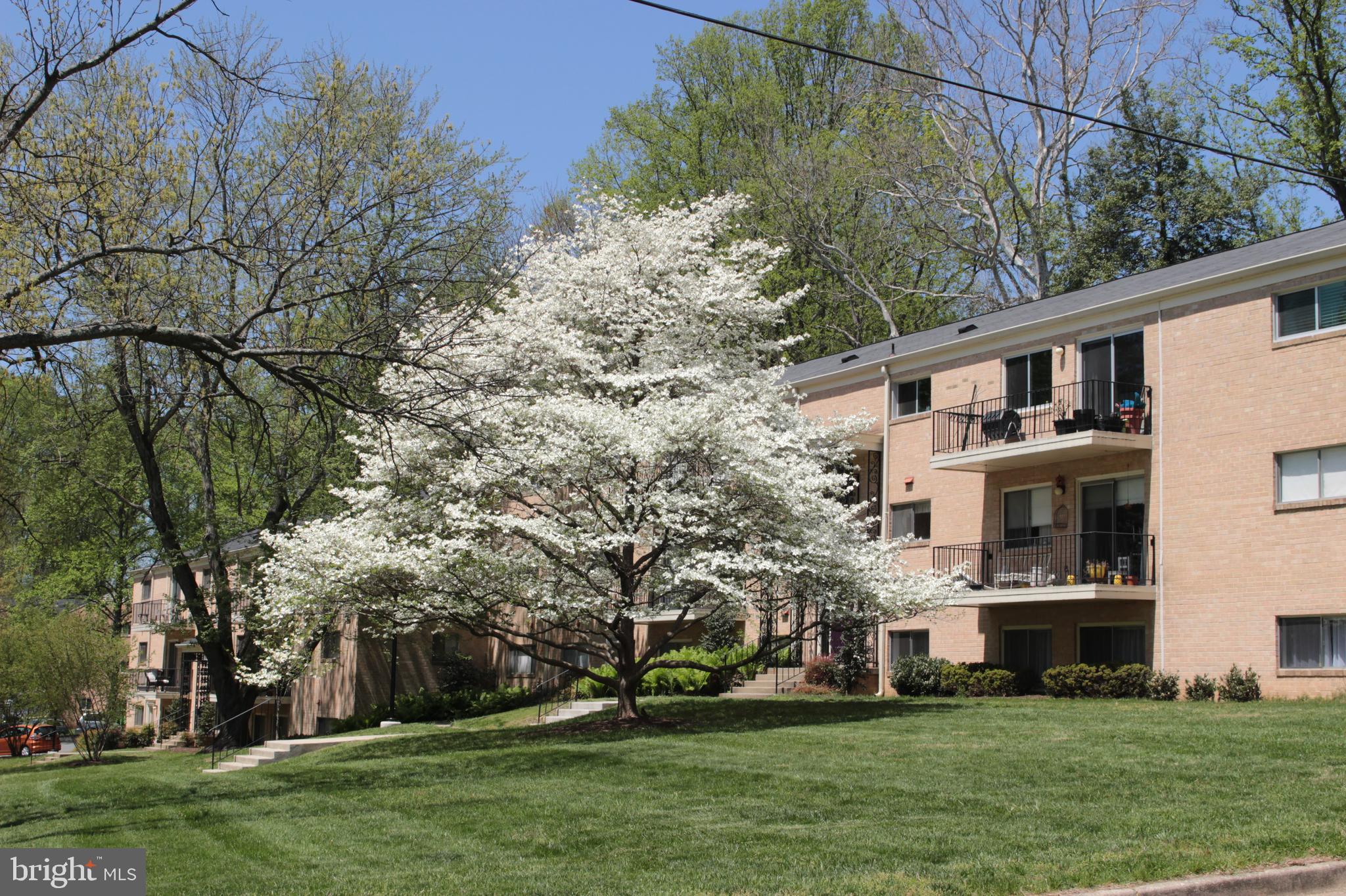 GREAT, SUNNY, TOP FLOOR 2BR 2BA BALCONY CONDO.