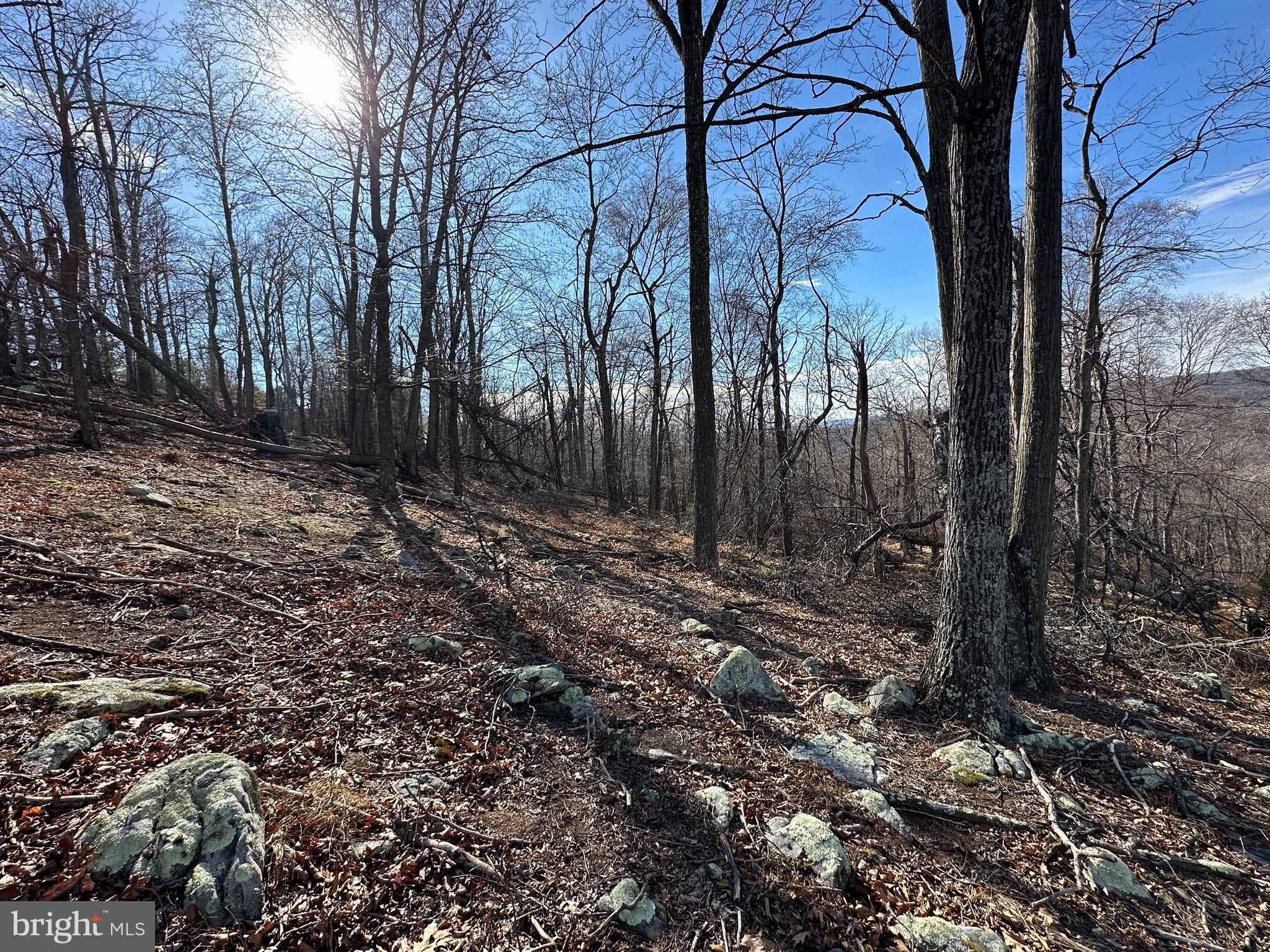 RIVER RIDGE - Land