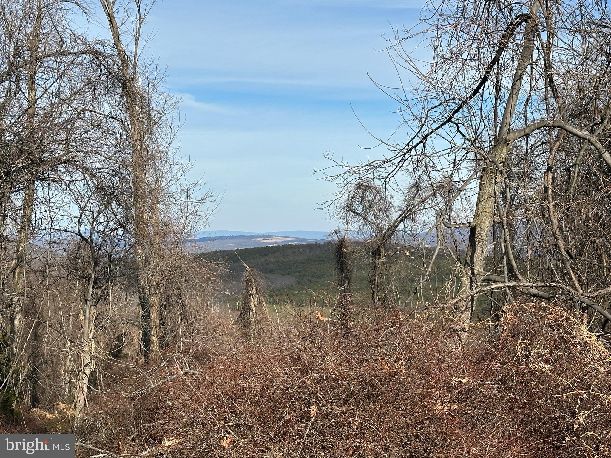 RIVER RIDGE - Land