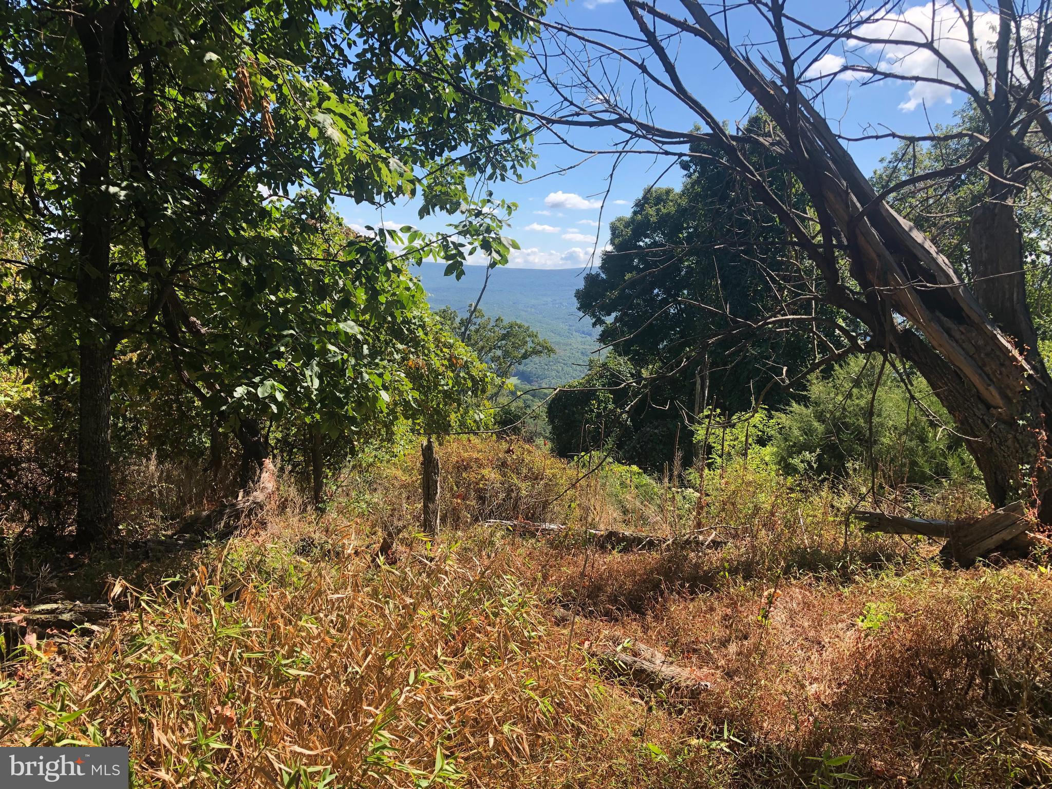 RIVER RIDGE - Land