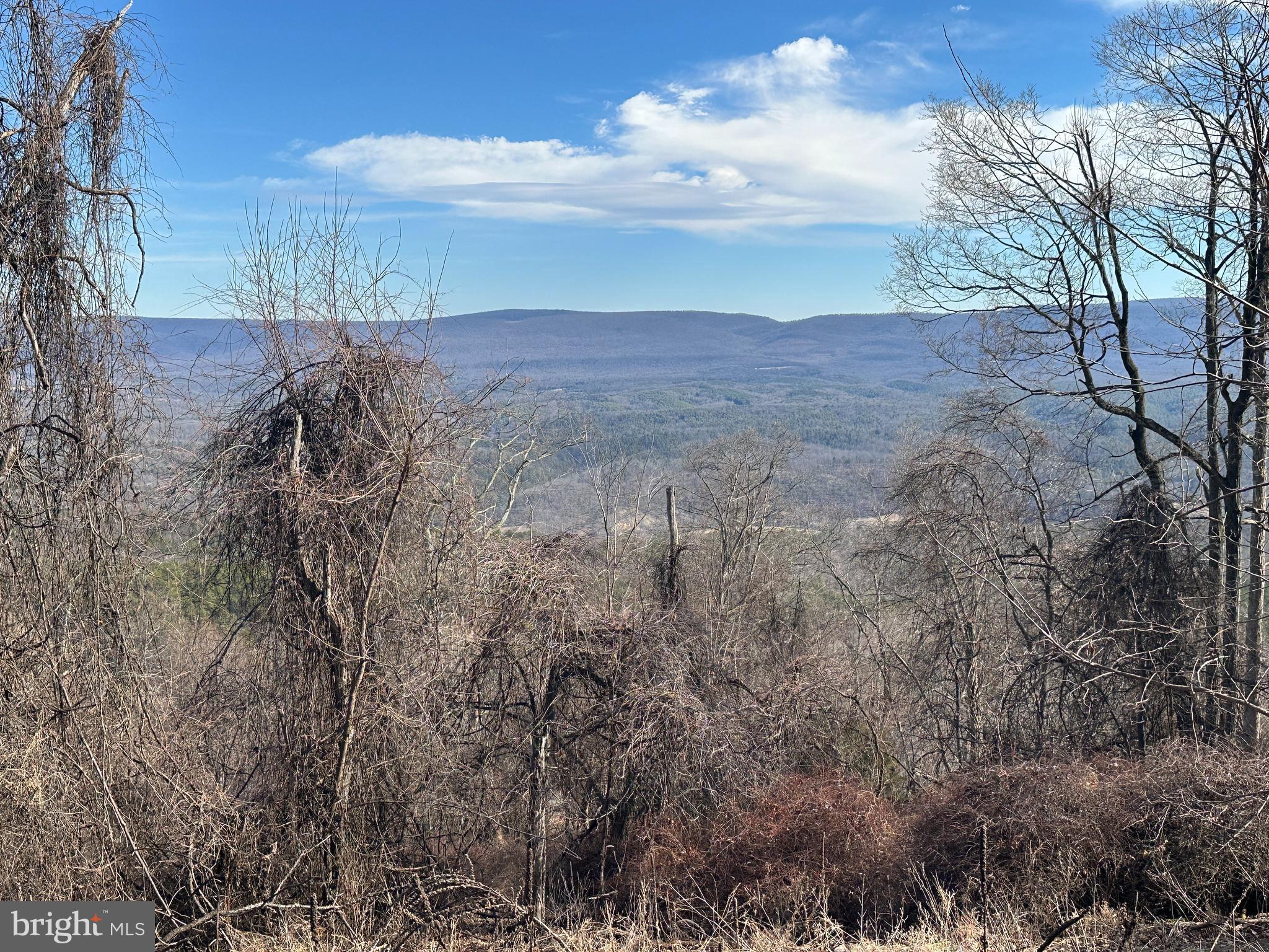 IT'S LONELY AT THE TOP.... 61 MOUNTAIN ACRES LOCATED AT THE END OF THE ROAD FOR MAXIMUM PRIVACY WITH 500 YARDS OF LEVEL RIDGE TOP ELEVATED AT 2000 FT. BUILDING SITES OFFER JAW DROPPING PANORAMIC MOUNTAIN VIEWS. RUGGEDLY BEAUTIFUL, YET EASILY ACCESSIBLE. COMPRISED OF 2 ADJACENT TRACTS WITH FRONTAGE ON 2 ROADS, MAKING ALL PARTS OF THE PROPERTY ACCESSIBLE. BOUNDED ON ONE SIDE BY HIGH TENSION POWER LINE, PERFECT FOR HUNTING & SHOOTING, YET BUILDING SITES ARE FAR FROM THE POWER LINE AND VIEWS ARE UNOBSTRUCTED. 12,000 KILOWATT HOURS OF FREE ELECTRICITY PER YEAR! WILDLIFE OASIS FULL OF TROPHY BUCKS, BEAR & BOBCATS. BUILD A CABIN, BUILD A MANSION, PULL IN YOUR CAMPER OR PITCH A TENT. BRING A FRIEND OR FAMILY MEMBER TO TAKE ADVANTAGE OF MULTIPLE LOTS. NEVER SEE A NEIGHBOR FROM ANY OF THE LOTS.....EVER. BOUNDED TO THE NORTH BY 3000+ CONTIGUOUS ACRES OF CONSERVATION EASEMENT LAND THAT WILL NEVER BE DEVELOPED. HARDWOODS, PINES, HUGE ROCK OUTCROPPINGS, A VERY UNIQUE PROPERTY WITH DIVERSE FEATURES. ONLY 5 MILES FROM PUBLIC ACCESS ON THE CACAPON RIVER, 10 MILES FROM THE THRIVING ARTISAN VILLAGE OF WARDENSVILLE & GEORGE WASHINGTON NATIONAL FOREST, 30 MILES FROM THE BOOMTOWN OF WINCHESTER, VA AND ONLY 100 MILES FROM THE WHITE HOUSE.....LESS THAN 2 HOUR EASY DRIVE FROM NORTHERN VA....BE THE KING OF YOUR OWN MOUNTAIN!
