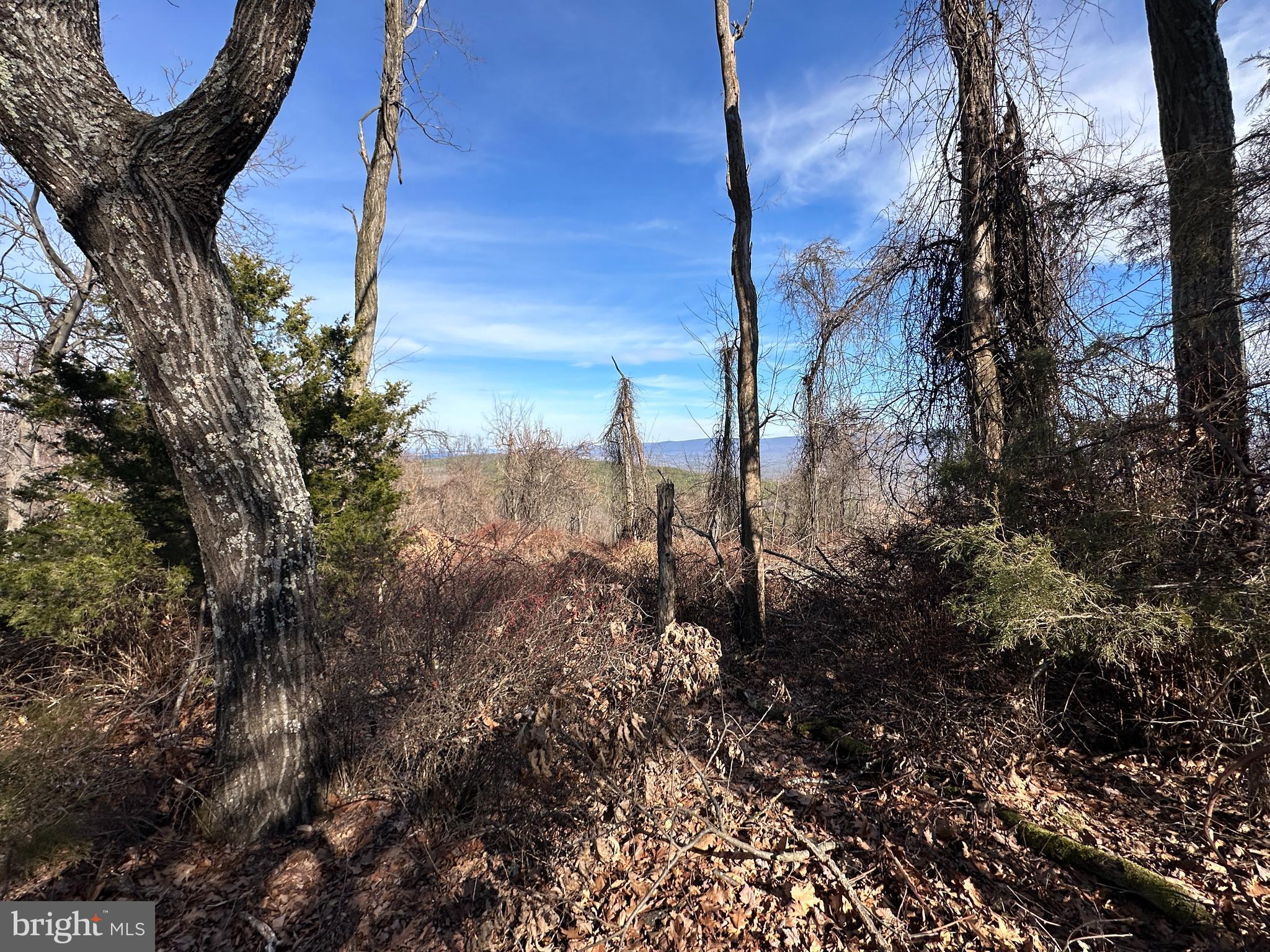 RIVER RIDGE - Land