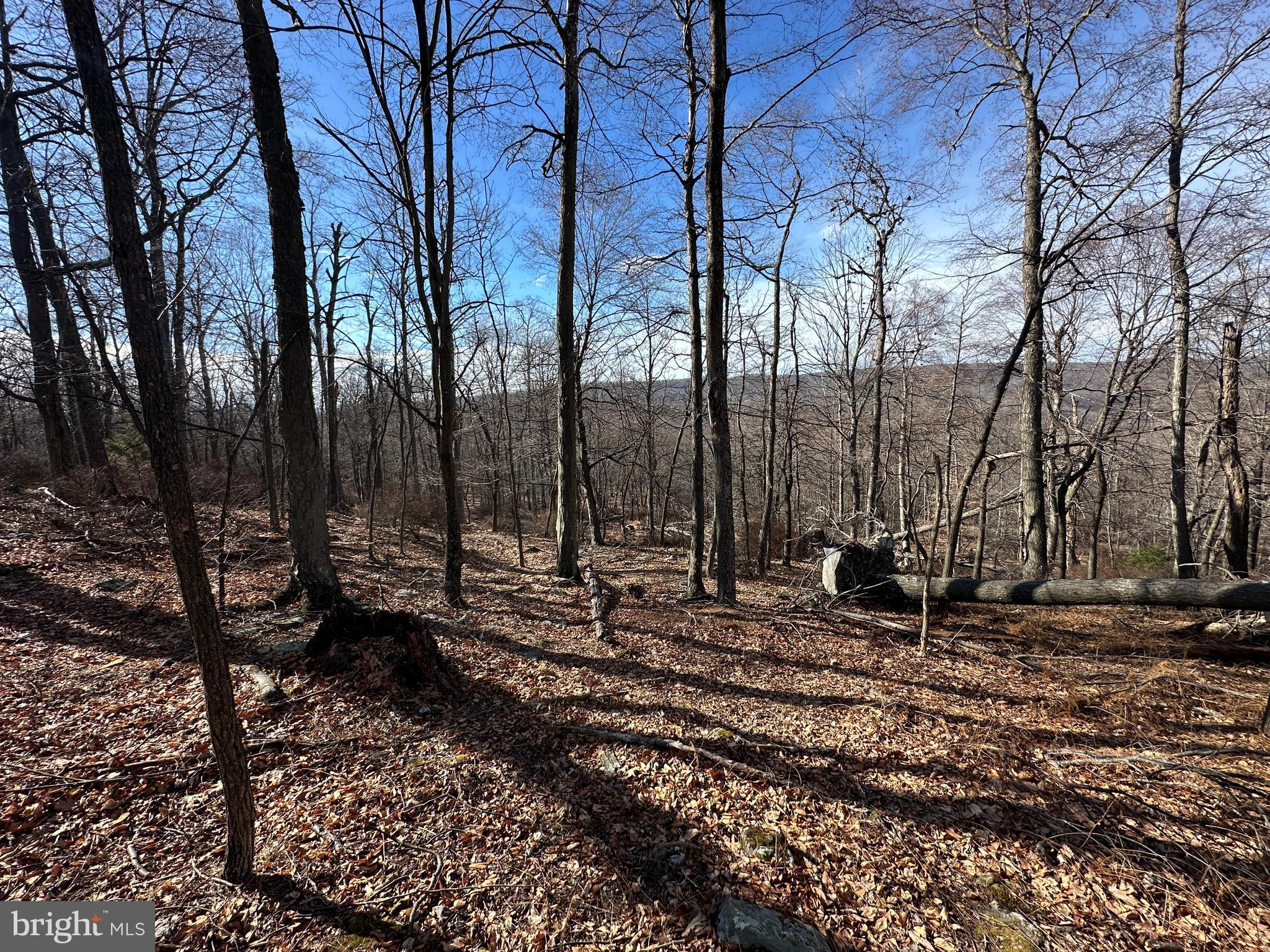RIVER RIDGE - Land