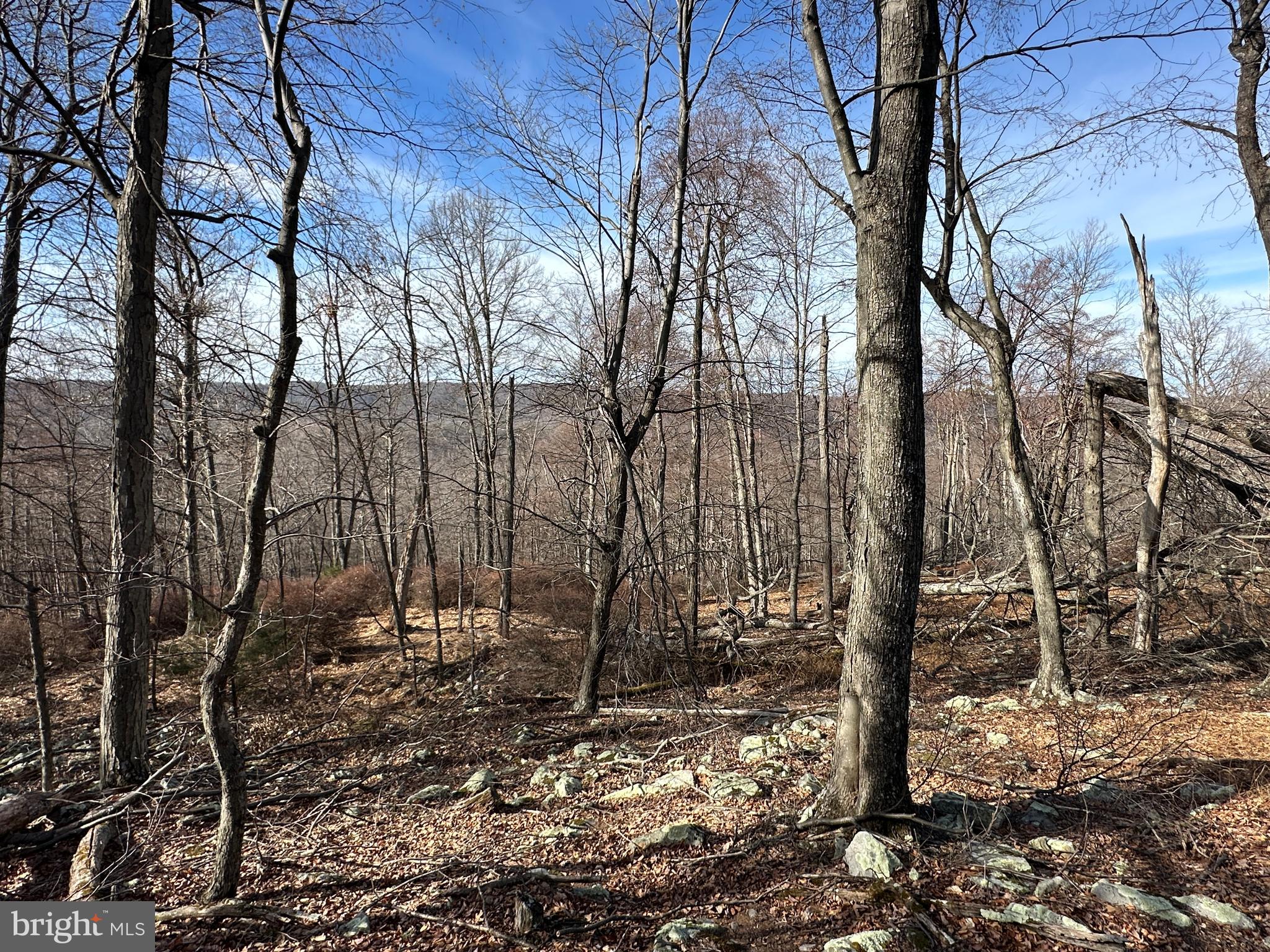 RIVER RIDGE - Land