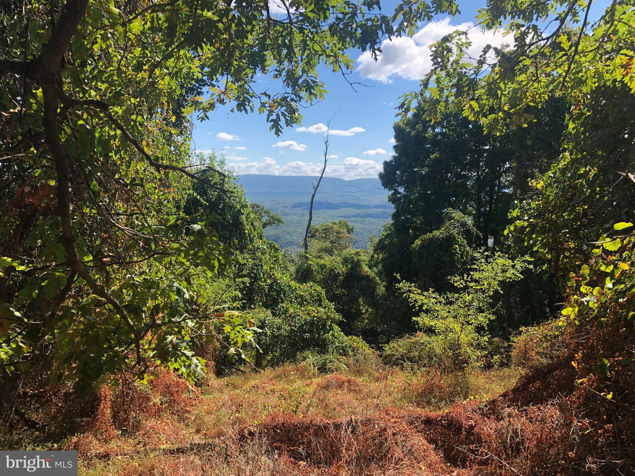 RIVER RIDGE - Land