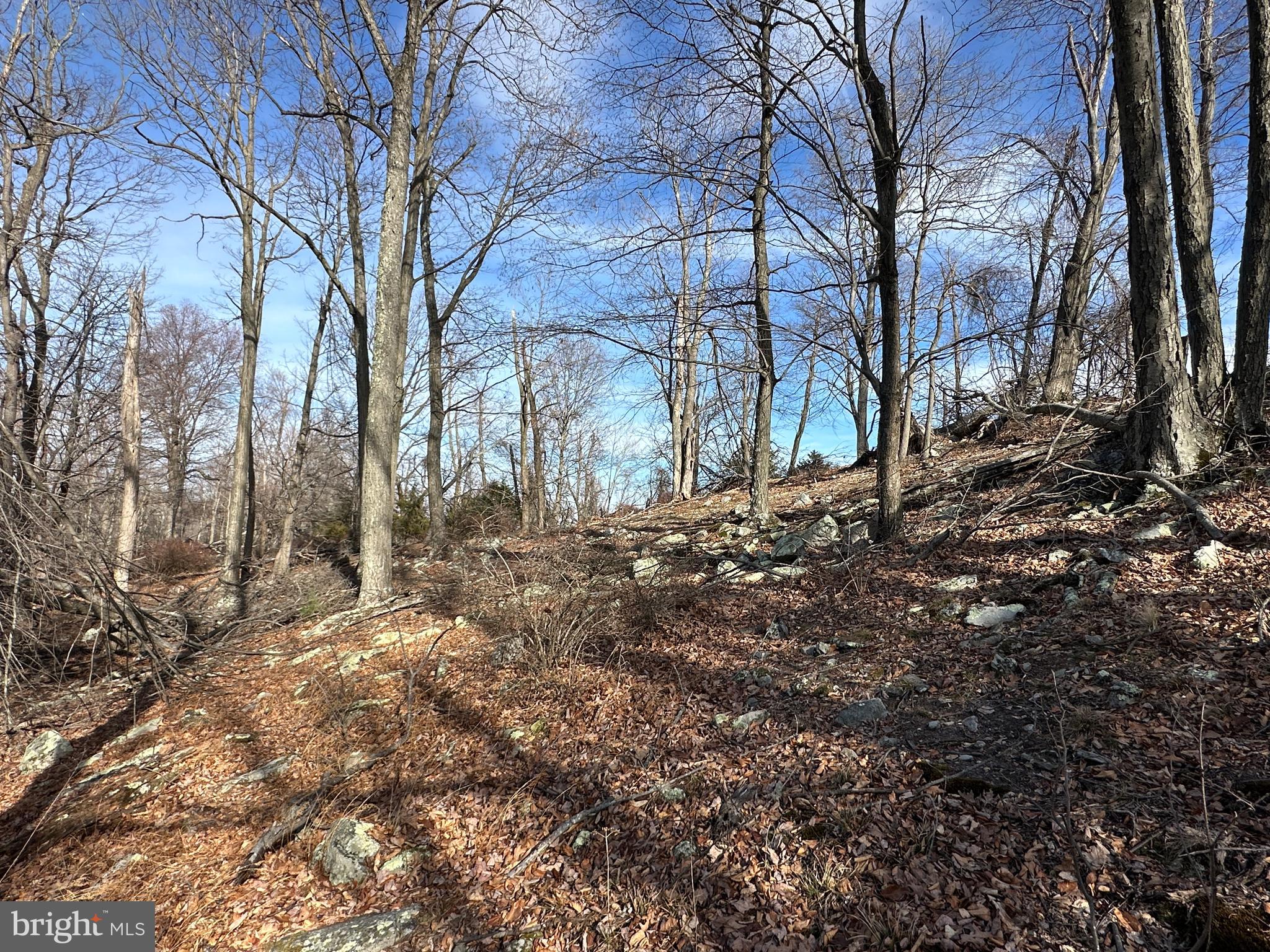 RIVER RIDGE - Land