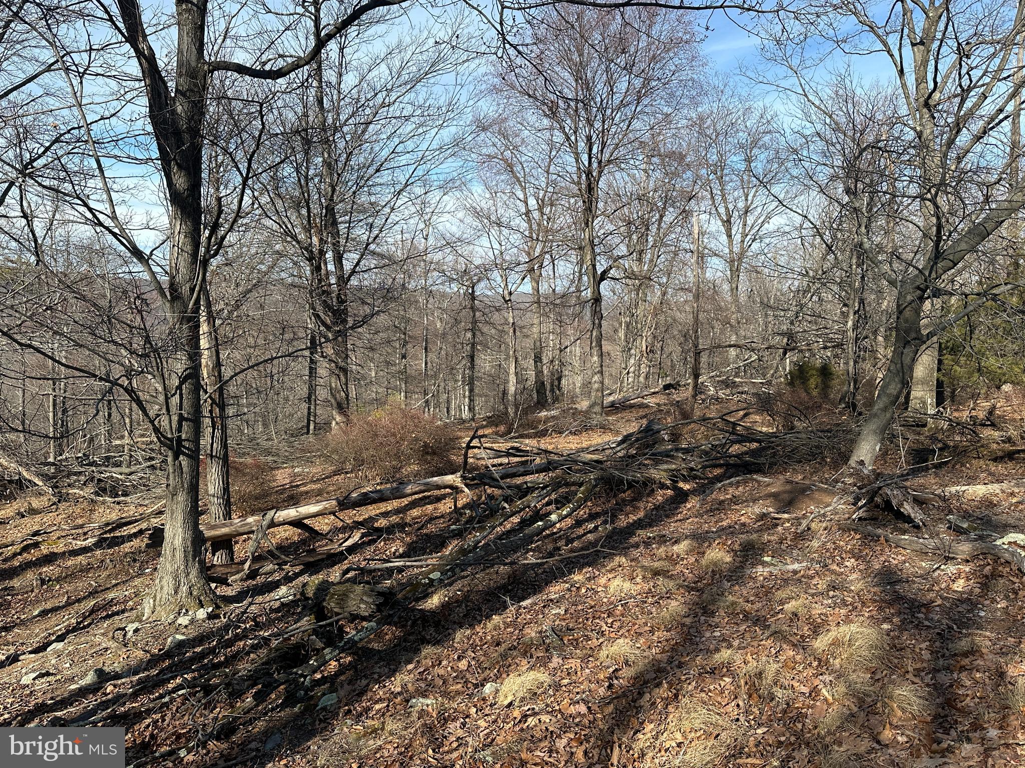 RIVER RIDGE - Land