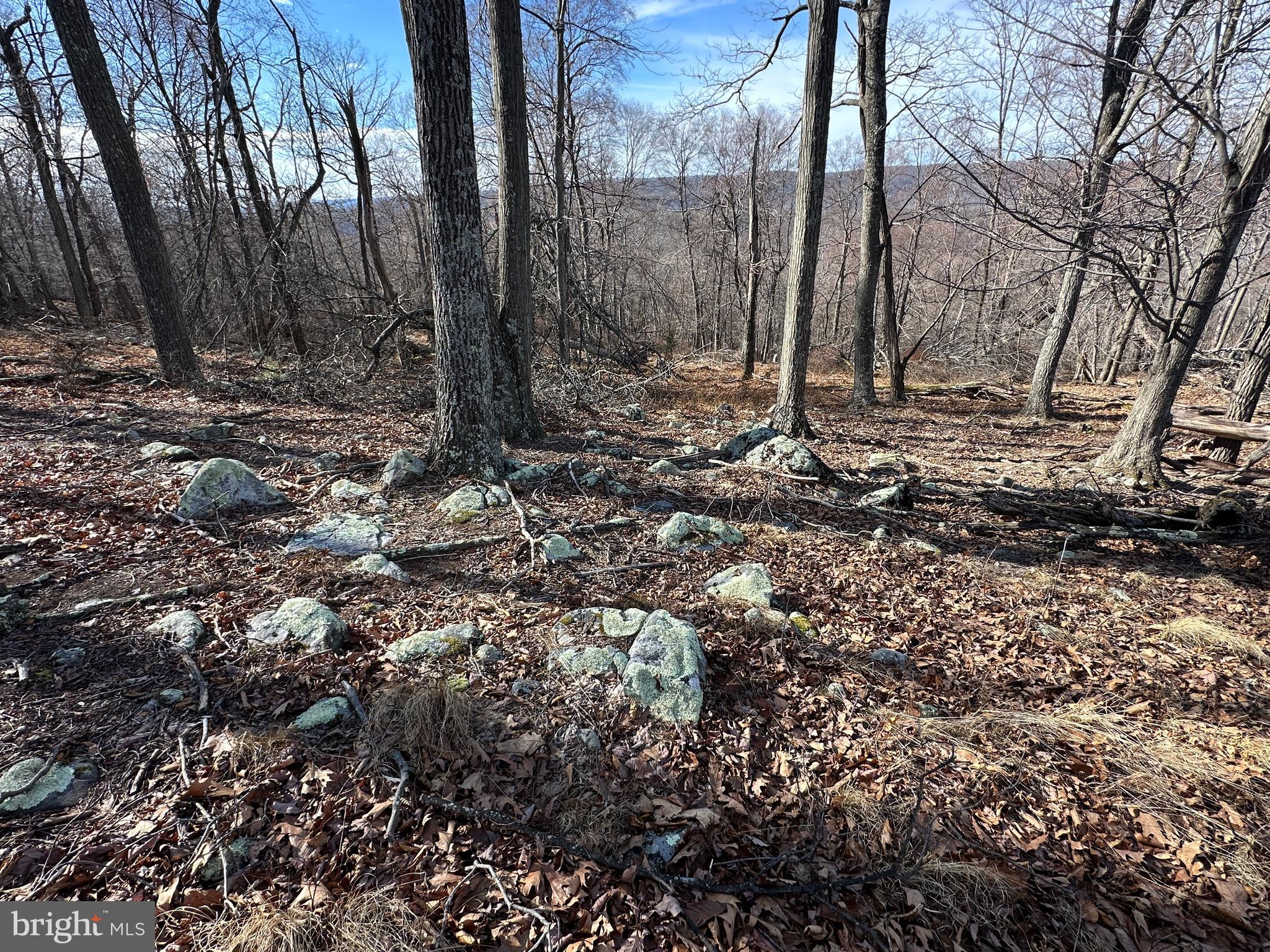 RIVER RIDGE - Land