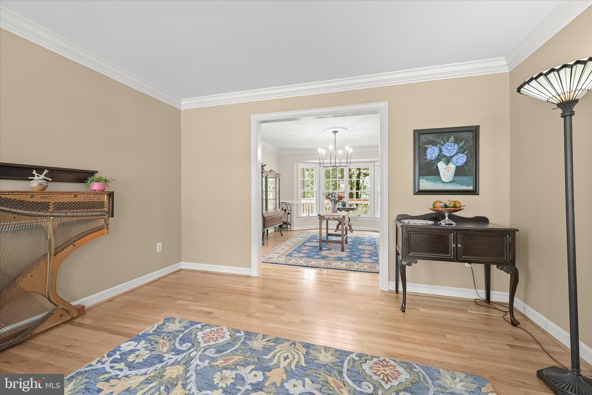 VILLAGE OF HICKORY RIDGE - Residential
