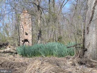 GREENE MILL PRESERVE - Residential