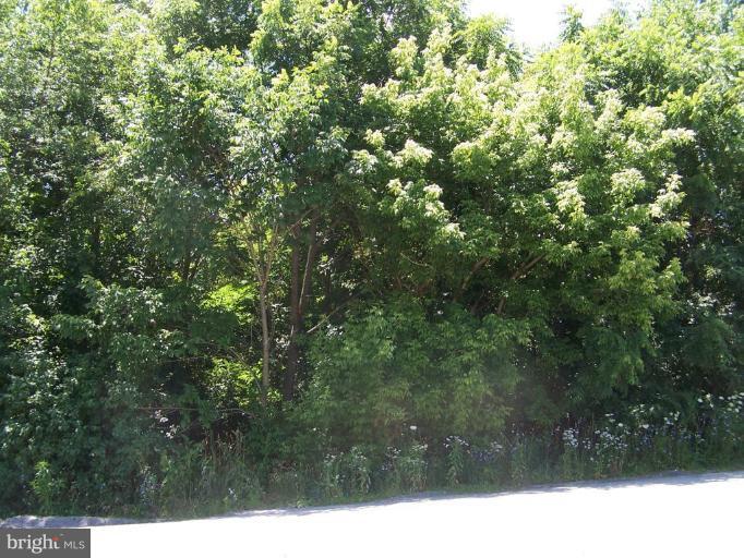 Make this wooded lot the ideal location to build your dream home. Recent percolation test. Minutes from Greencastle, but a country setting. Less than one mile from the Antrim Township Community Park and Martin's Mill Covered Bridge. Convenient for commuters to I-81 & I-70, Rts 11 & 16. Being sold in "as-is" condition by Bank/Owner.